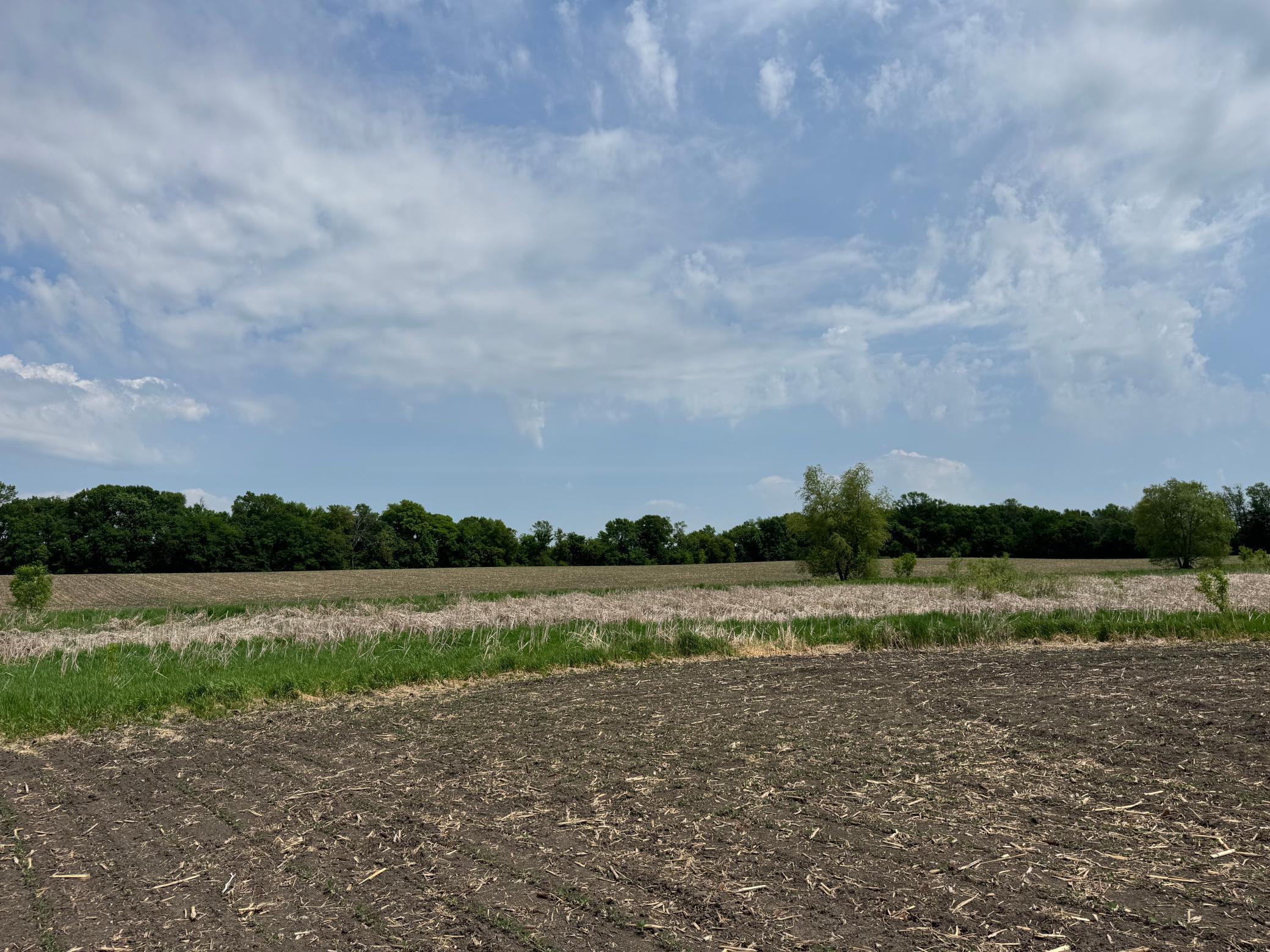 View of Land at TBD Baker Avenue, Buffalo MN 55313, Buffalo (18 of 33) - Mike Wilen | Minnesota Team Real Estate