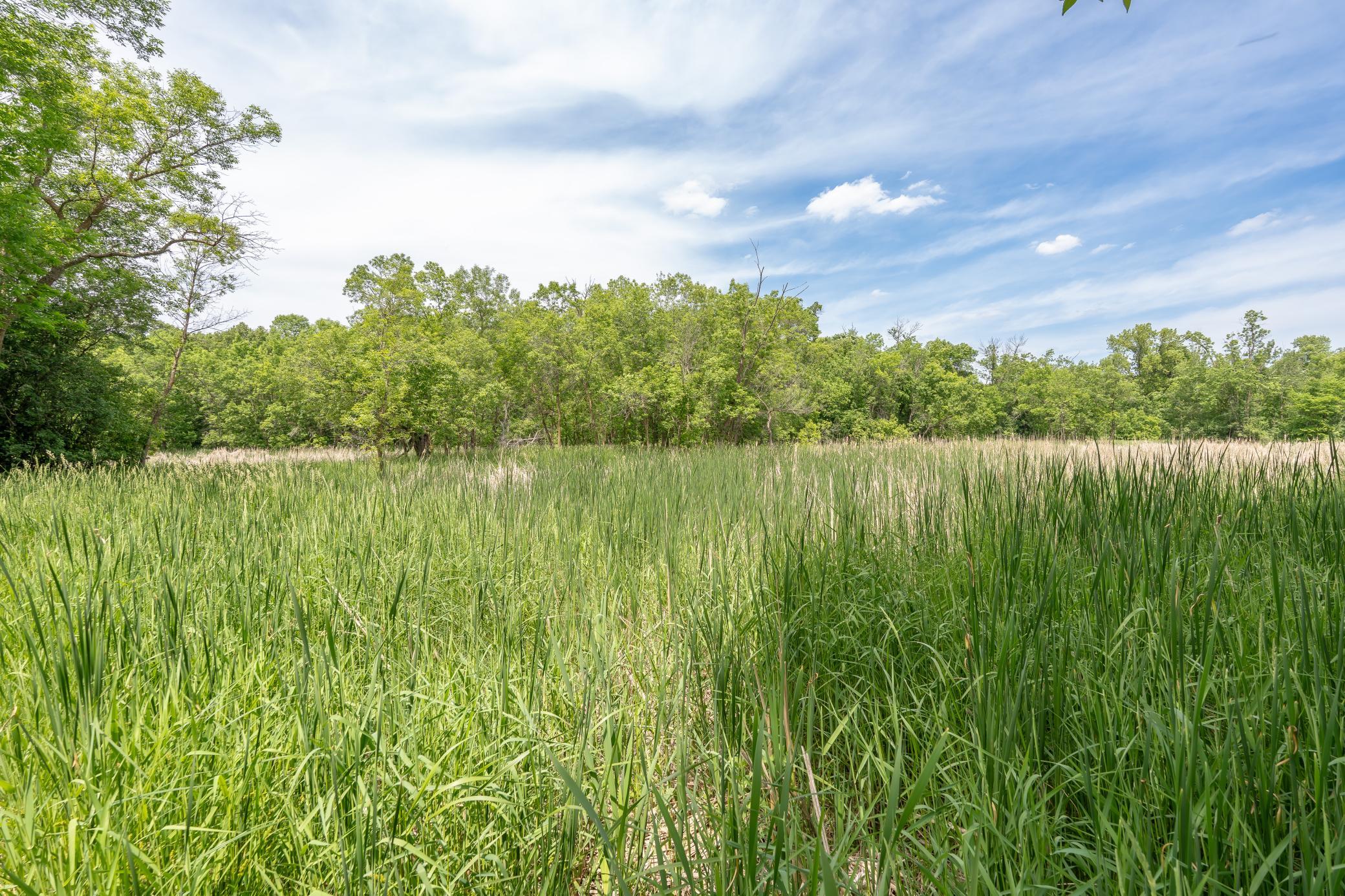 View of Residential at 7290 83rd Street, Monticello MN 55362, Monticello (47 of 57) - Mike Wilen | Minnesota Team Real Estate