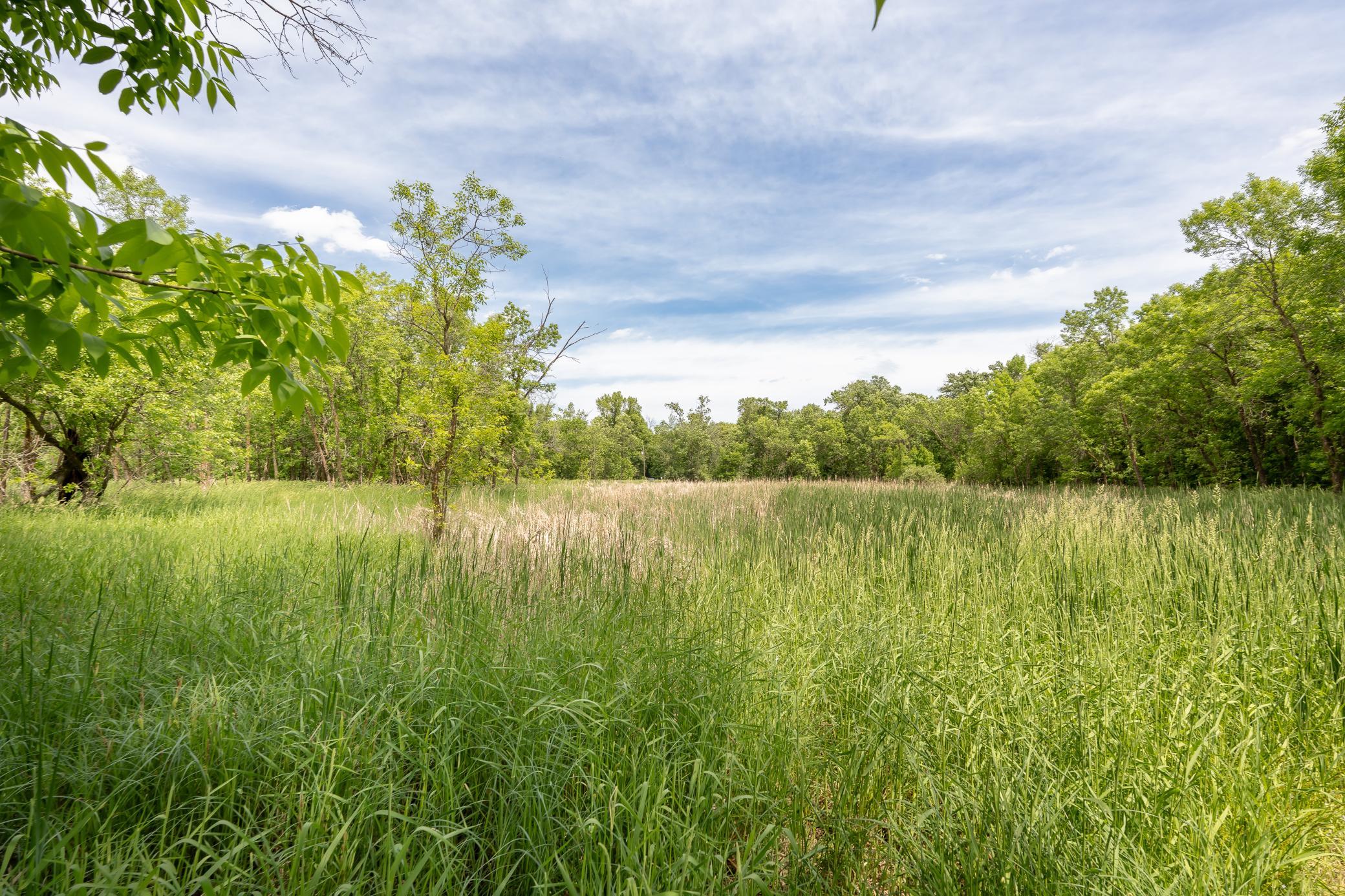 View of Residential at 7290 83rd Street, Monticello MN 55362, Monticello (46 of 57) - Mike Wilen | Minnesota Team Real Estate