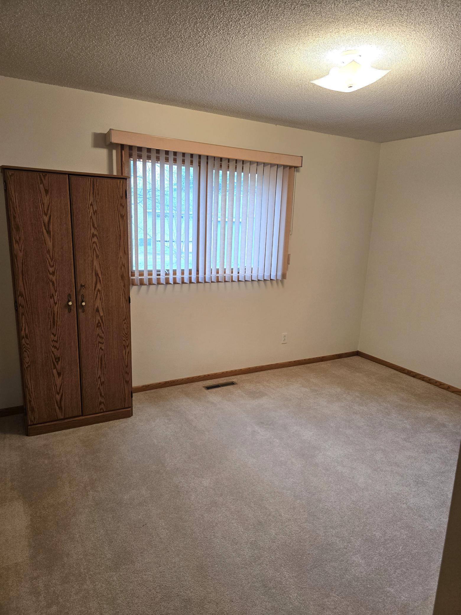 View of Residential at 308 Renville Street, Winthrop MN 55396, Winthrop (15 of 25) - Mike Wilen | Minnesota Team Real Estate