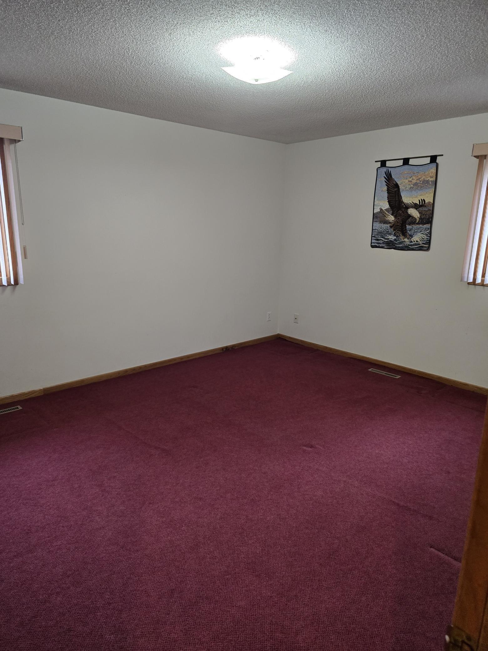View of Residential at 308 Renville Street, Winthrop MN 55396, Winthrop (14 of 25) - Mike Wilen | Minnesota Team Real Estate