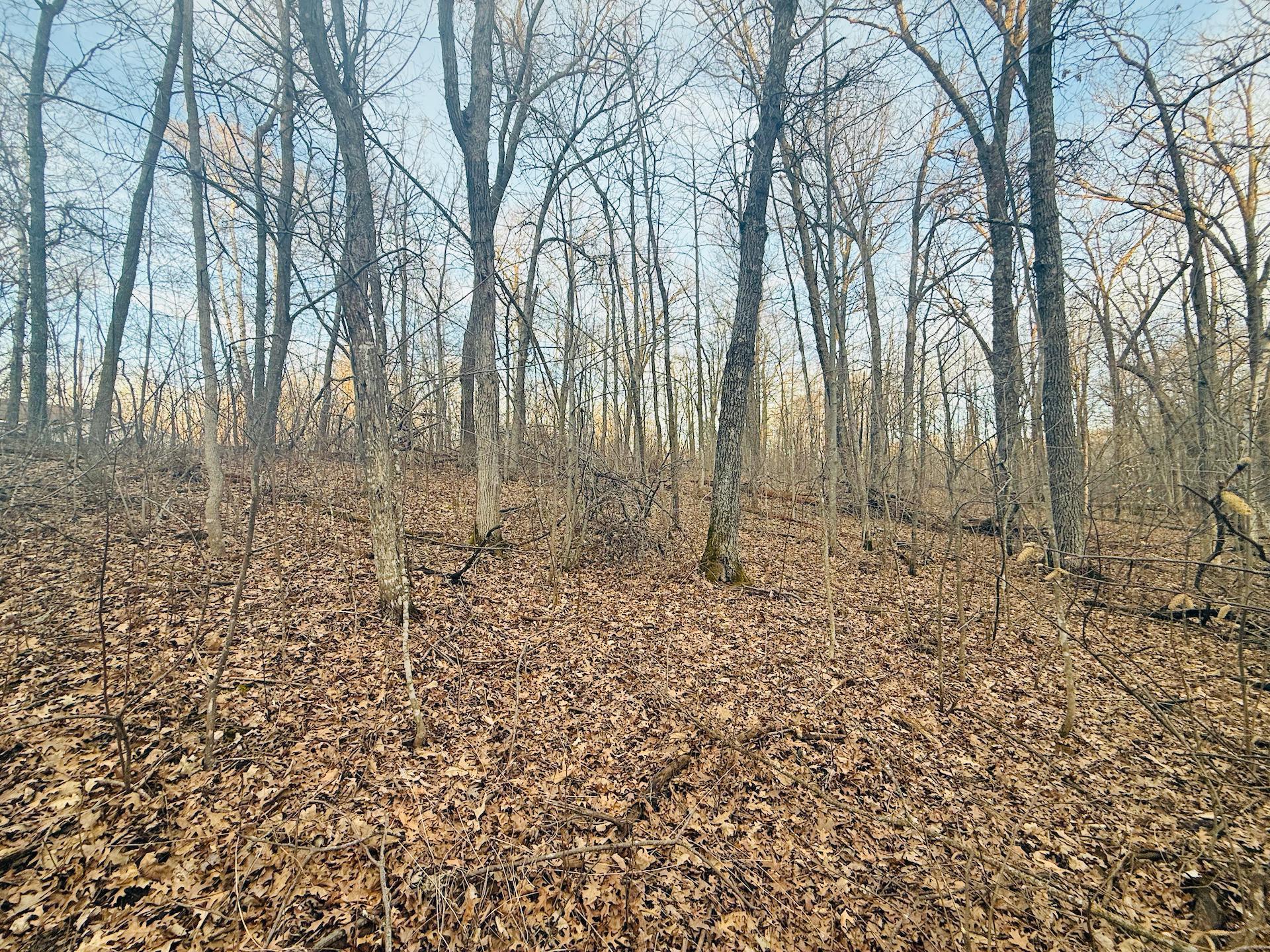 View of Land at TBD Ringneck Roost, Garrison MN 56450, Garrison (6 of 11) - Mike Wilen | Minnesota Team Real Estate