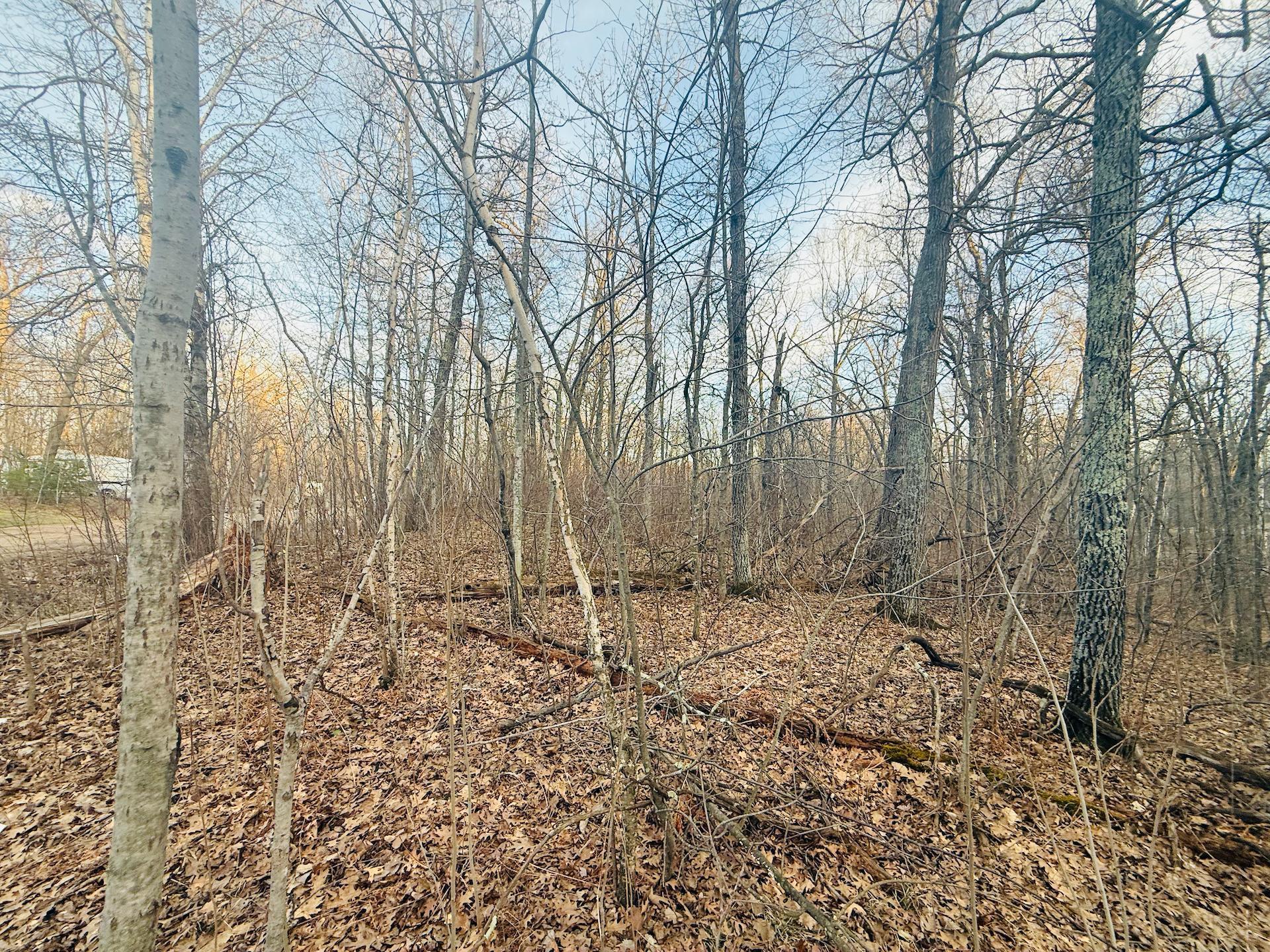 View of Land at TBD Ringneck Roost, Garrison MN 56450, Garrison (3 of 11) - Mike Wilen | Minnesota Team Real Estate