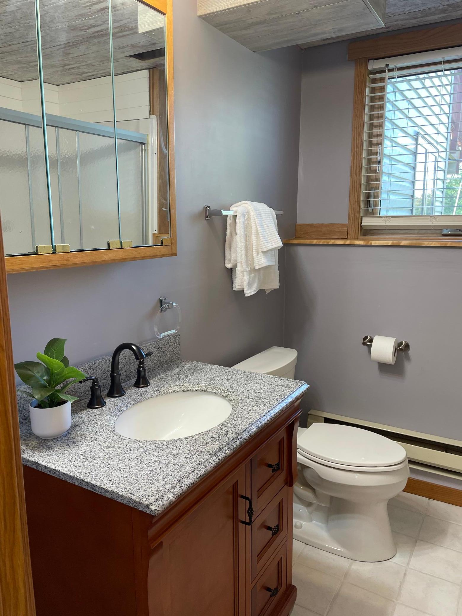 View of Residential at 7481 State Street, Clear Lake MN 55319, Clear Lake (21 of 27) - Mike Wilen | Minnesota Team Real Estate