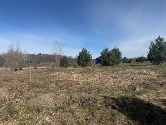 View of Land at TBD XXX 352nd Street, Chisago Lake Twp MN 55045, Chisago Lake Twp (30 of 33) - Mike Wilen | Minnesota Team Real Estate