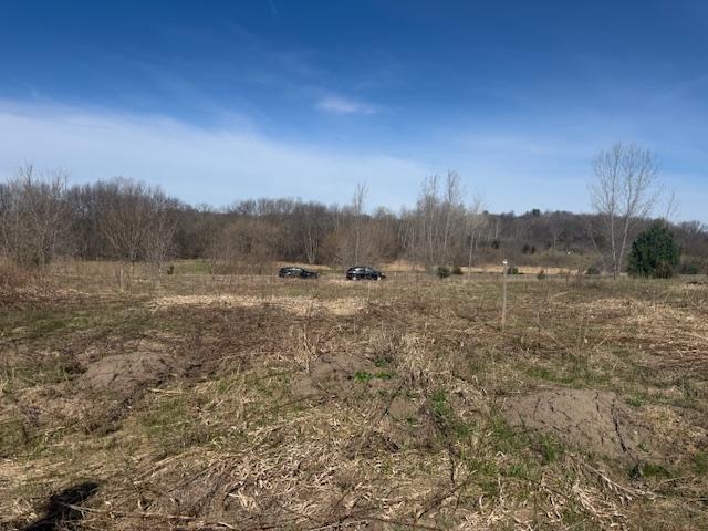 View of Land at TBD XXX 352nd Street, Chisago Lake Twp MN 55045, Chisago Lake Twp (29 of 33) - Mike Wilen | Minnesota Team Real Estate