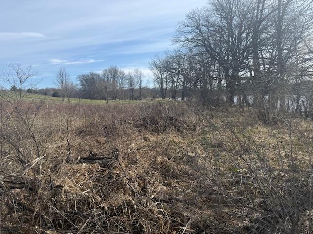 View of Land at TBD XXX 352nd Street, Chisago Lake Twp MN 55045, Chisago Lake Twp (27 of 33) - Mike Wilen | Minnesota Team Real Estate