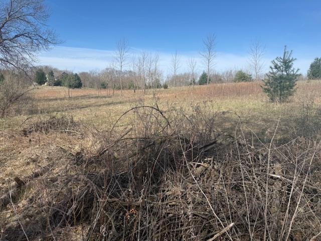View of Land at TBD XXX 352nd Street, Chisago Lake Twp MN 55045, Chisago Lake Twp (26 of 33) - Mike Wilen | Minnesota Team Real Estate