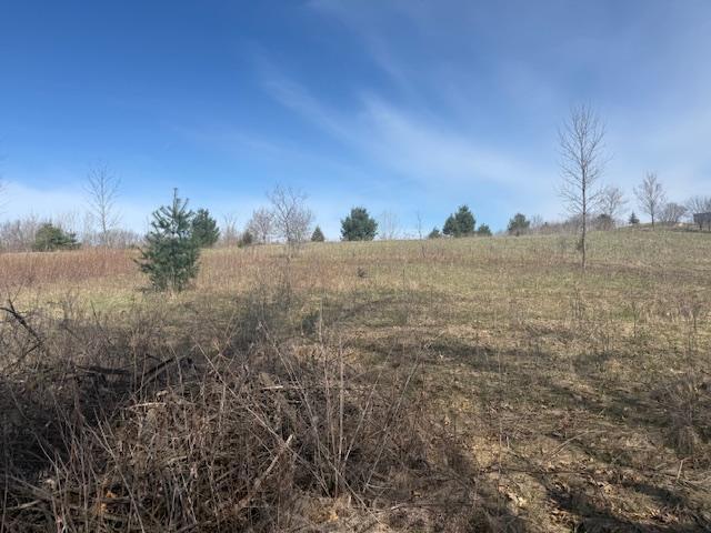 View of Land at TBD XXX 352nd Street, Chisago Lake Twp MN 55045, Chisago Lake Twp (24 of 33) - Mike Wilen | Minnesota Team Real Estate