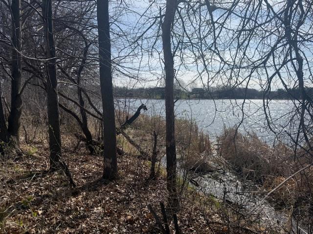 View of Land at TBD XXX 352nd Street, Chisago Lake Twp MN 55045, Chisago Lake Twp (20 of 33) - Mike Wilen | Minnesota Team Real Estate