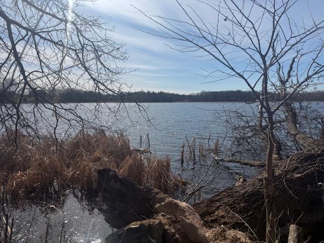 View of Land at TBD XXX 352nd Street, Chisago Lake Twp MN 55045, Chisago Lake Twp (19 of 33) - Mike Wilen | Minnesota Team Real Estate