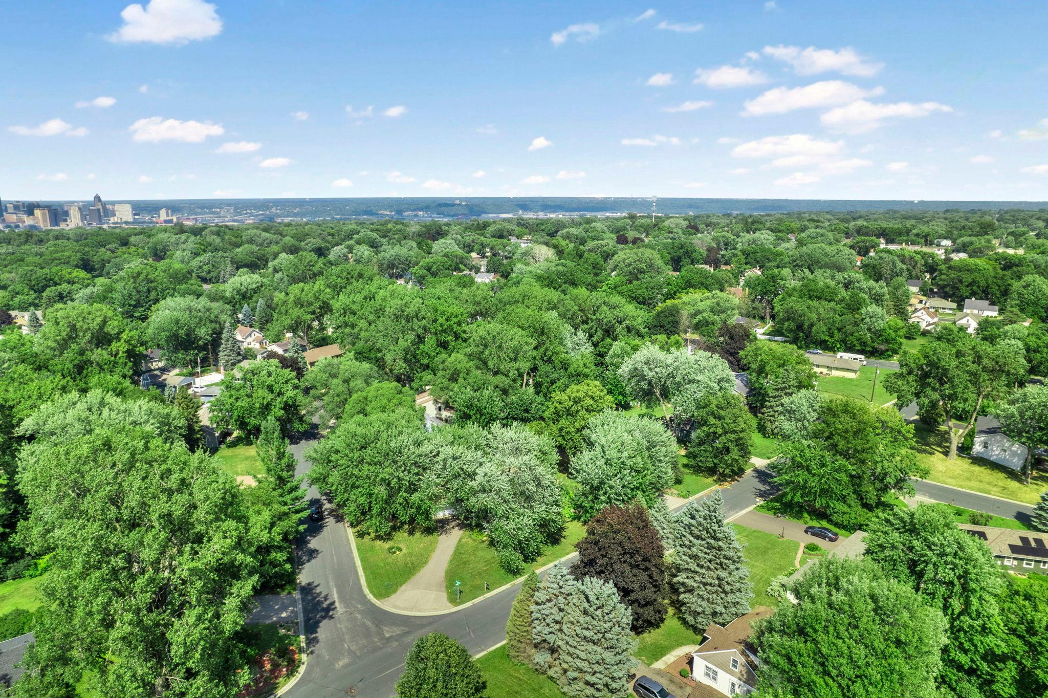 View of Residential at 545 Miriam Street, Mendota Heights MN 55118, Mendota Heights (40 of 47) - Mike Wilen | Minnesota Team Real Estate