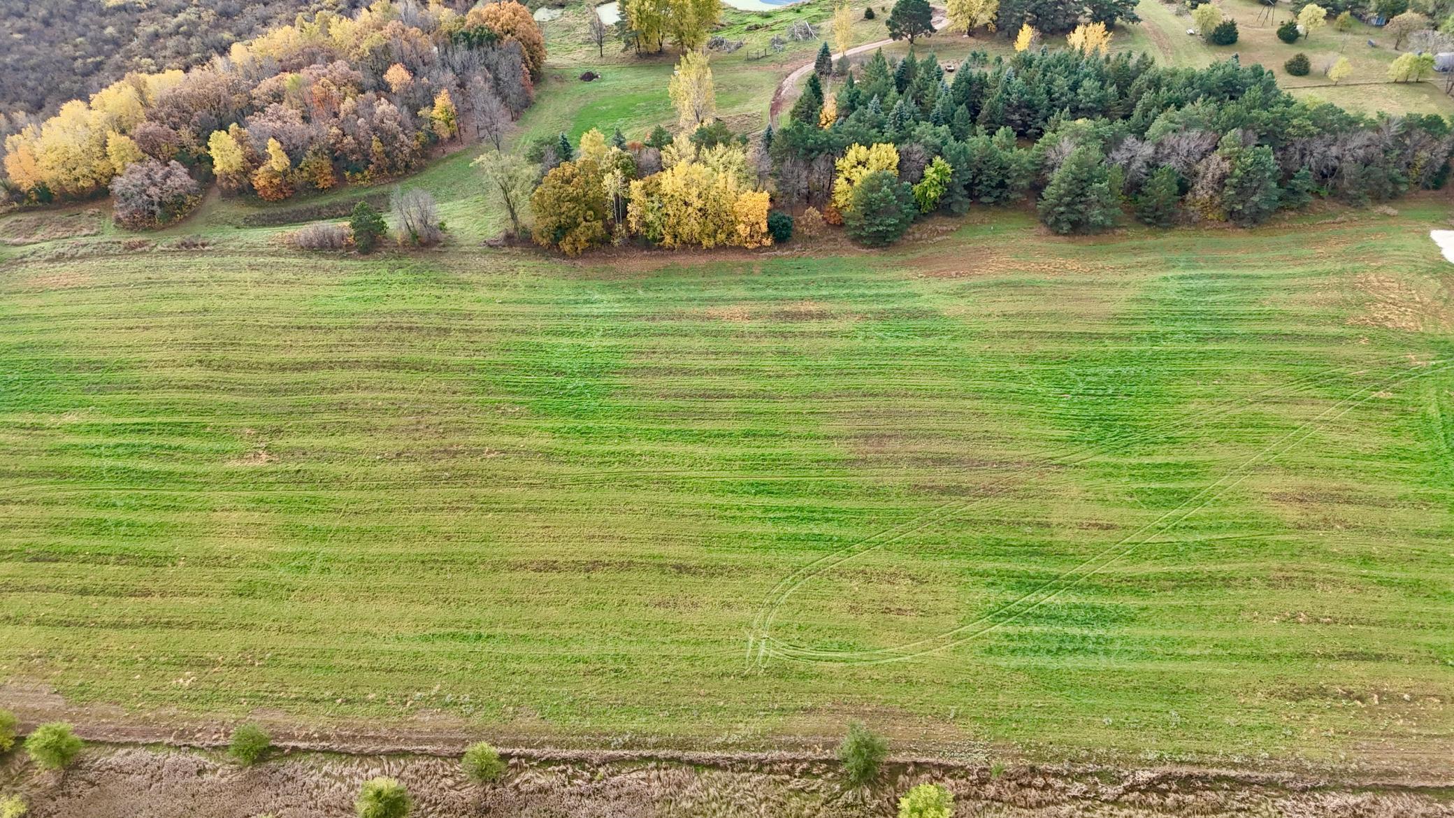 View of Land at TBD County Road 136, Saint Cloud MN 56301, Saint Cloud (8 of 16) - Mike Wilen | Minnesota Team Real Estate