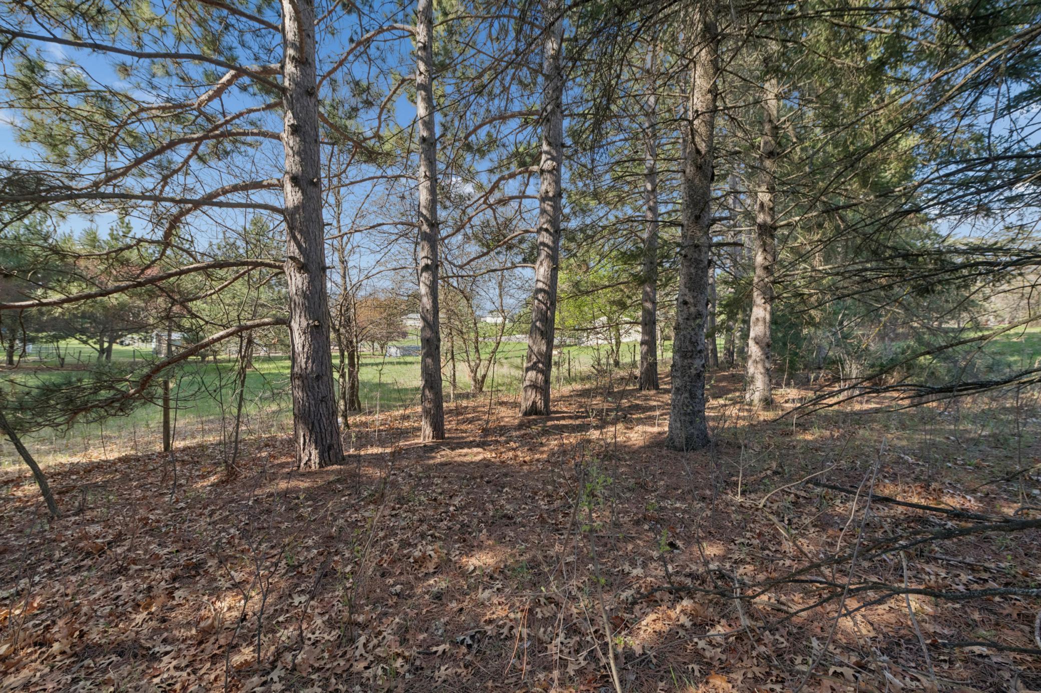 View of Land at TBD 32nd Avenue, Cambridge MN 55008, Cambridge (12 of 14) - Mike Wilen | Minnesota Team Real Estate