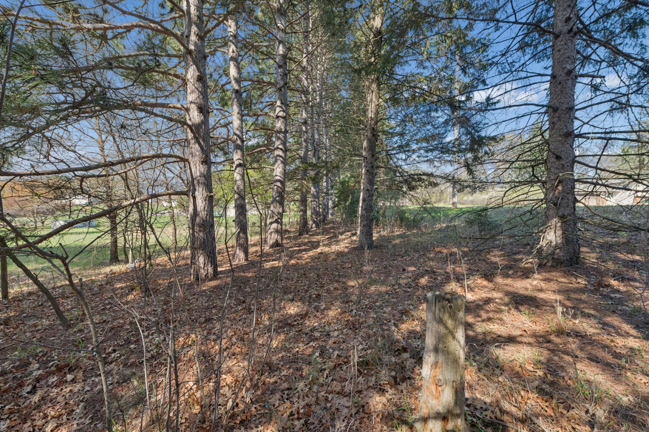 View of Land at TBD 32nd Avenue, Cambridge MN 55008, Cambridge (11 of 14) - Mike Wilen | Minnesota Team Real Estate