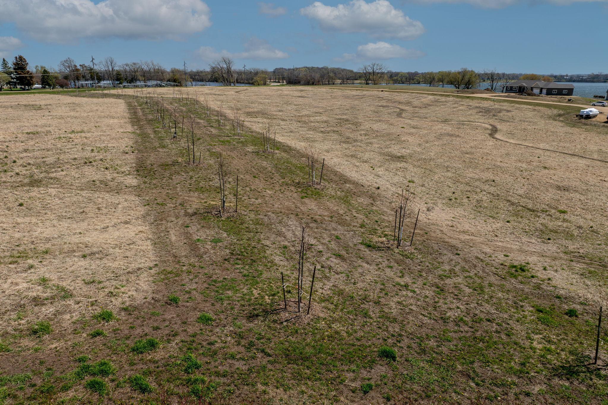 View of Land at 2xxx Lakeview Court, Cleveland MN 56017, Cleveland (19 of 22) - Mike Wilen | Minnesota Team Real Estate
