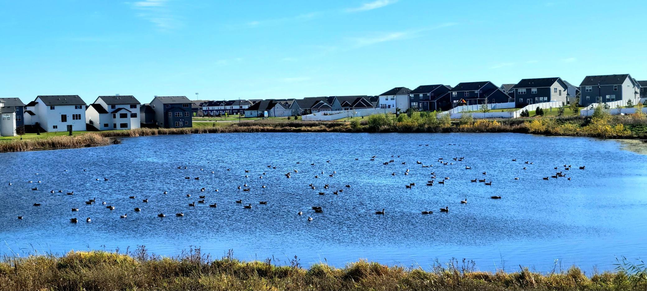 View of Residential at 2026 Tamarack Road, Carver MN 55315, Carver (55 of 55) - Mike Wilen | Minnesota Team Real Estate