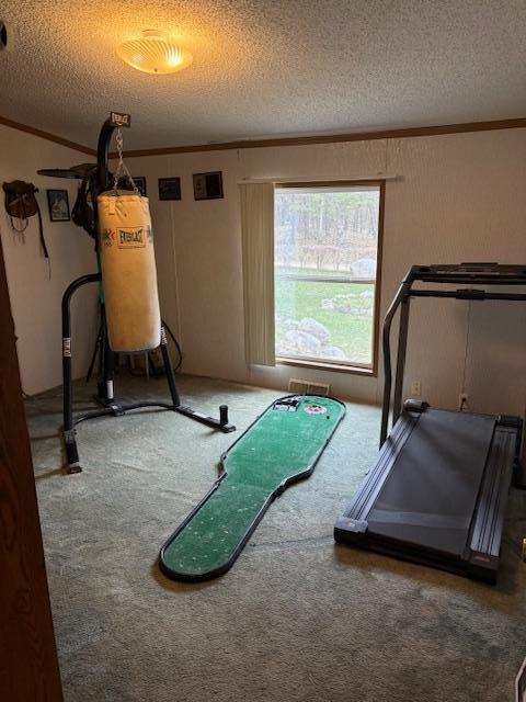 View of Residential at 7869 Lunar Lane, Pequot Lakes MN 56472, Pequot Lakes (21 of 28) - Mike Wilen | Minnesota Team Real Estate