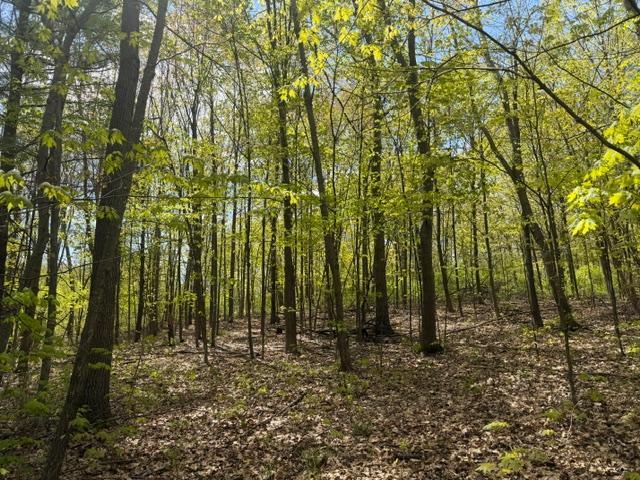 View of Land at TBD 1st Street, Taylors Falls MN 55084, Taylors Falls - Mike Wilen | Minnesota Team Real Estate