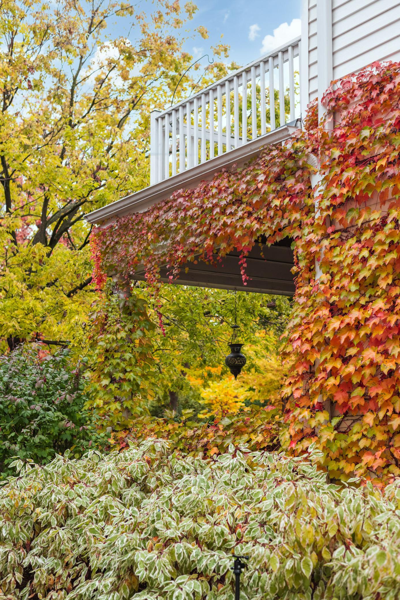 View of Residential Income at 1915 Fremont Avenue, Minneapolis MN 55403, Minneapolis (75 of 78) - Mike Wilen | Minnesota Team Real Estate