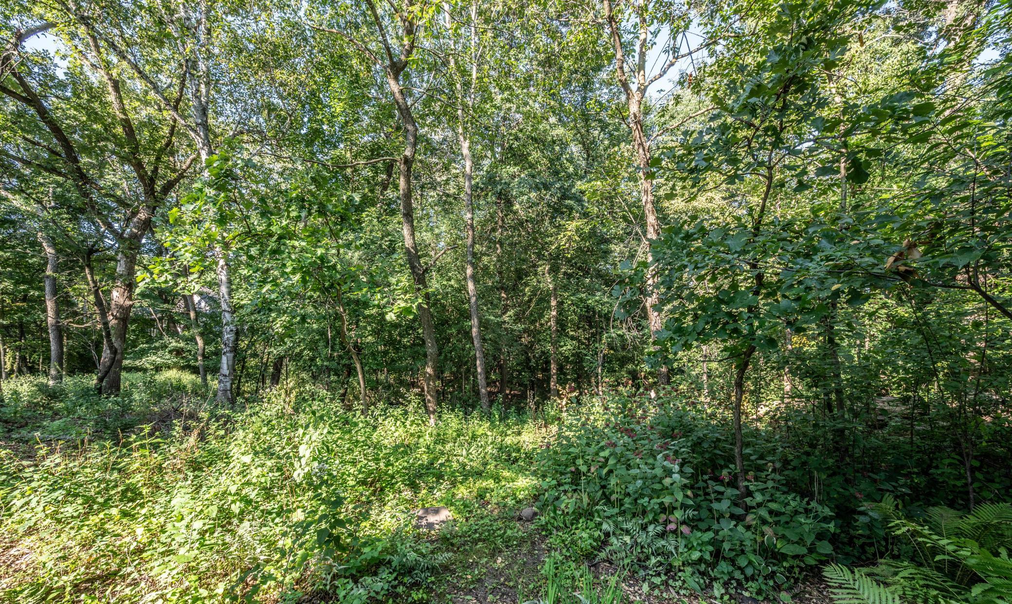 View of Residential at 3971 Denmark Avenue, Eagan MN 55123, Eagan (30 of 33) - Mike Wilen | Minnesota Team Real Estate