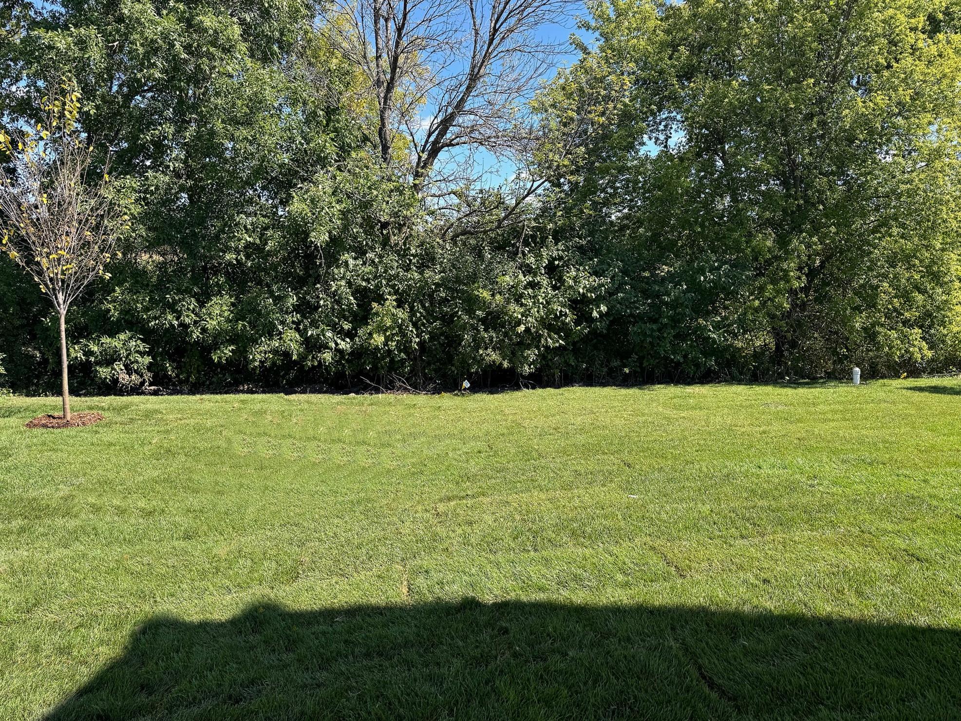 View of Residential at 12760 Williams Road, Rogers MN 55374, Rogers (17 of 22) - Mike Wilen | Minnesota Team Real Estate