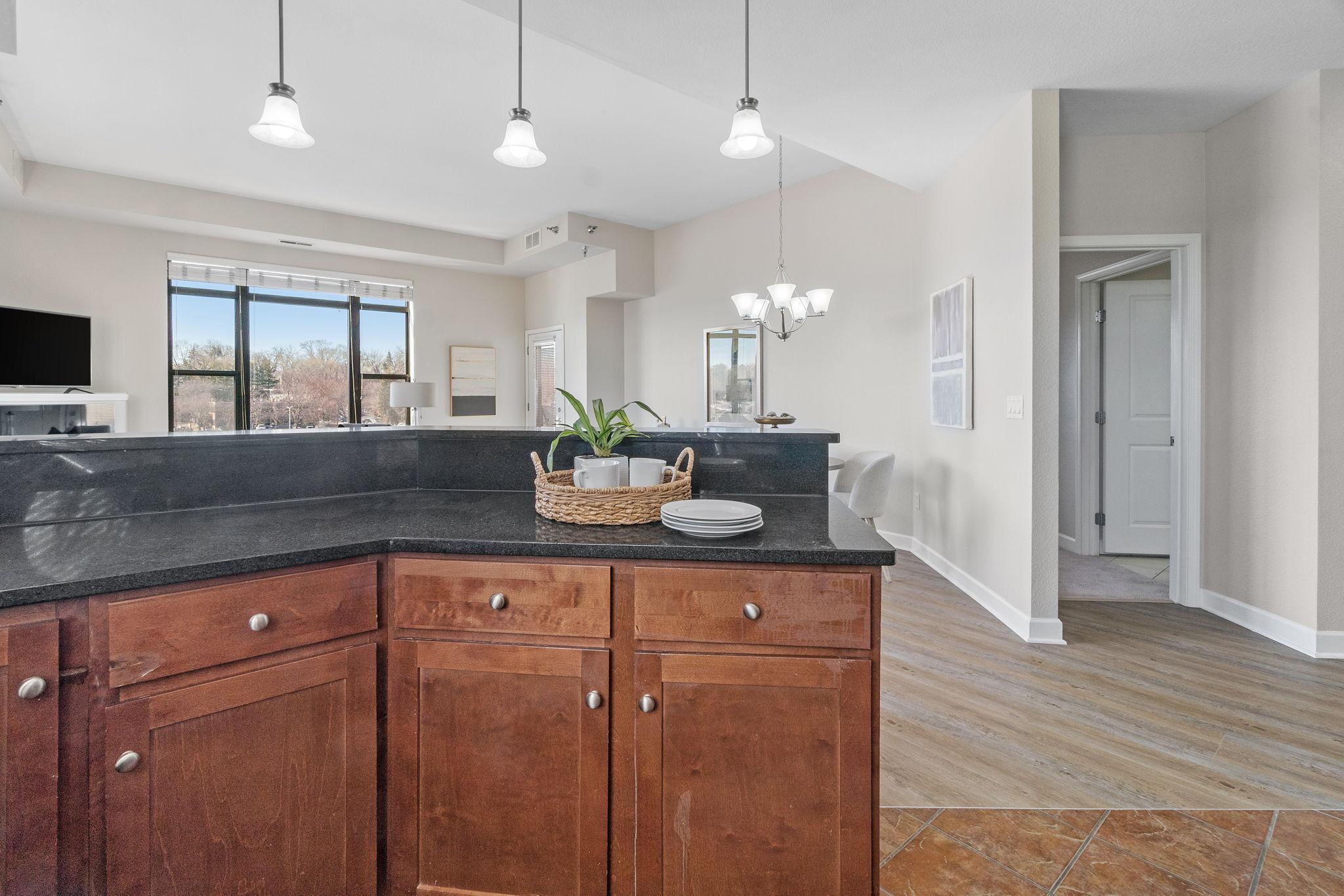 View of Residential at 1155 Ford Road #314, Saint Louis Park MN 55426, Saint Louis Park (21 of 42) - Mike Wilen | Minnesota Team Real Estate