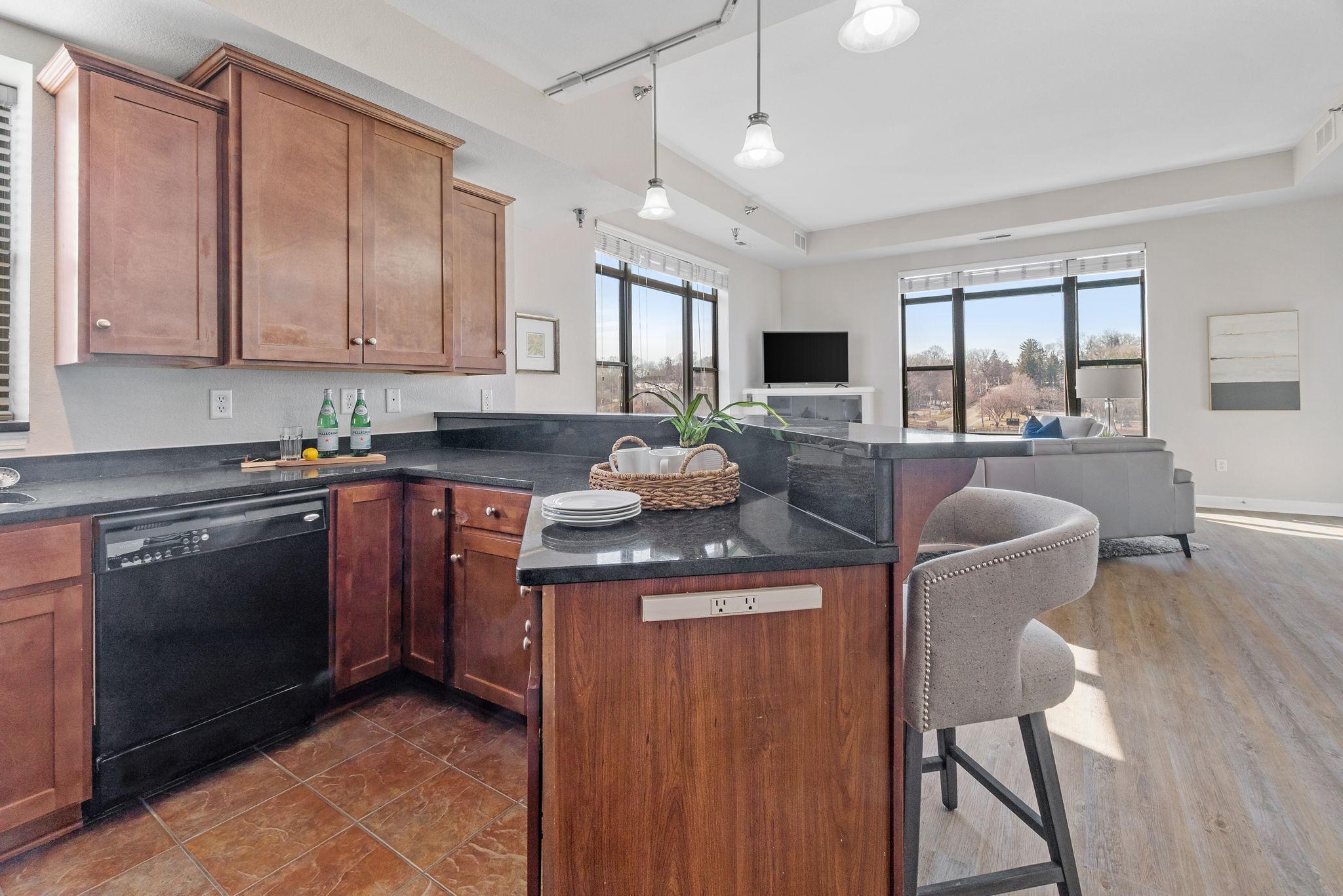 View of Residential at 1155 Ford Road #314, Saint Louis Park MN 55426, Saint Louis Park (19 of 42) - Mike Wilen | Minnesota Team Real Estate