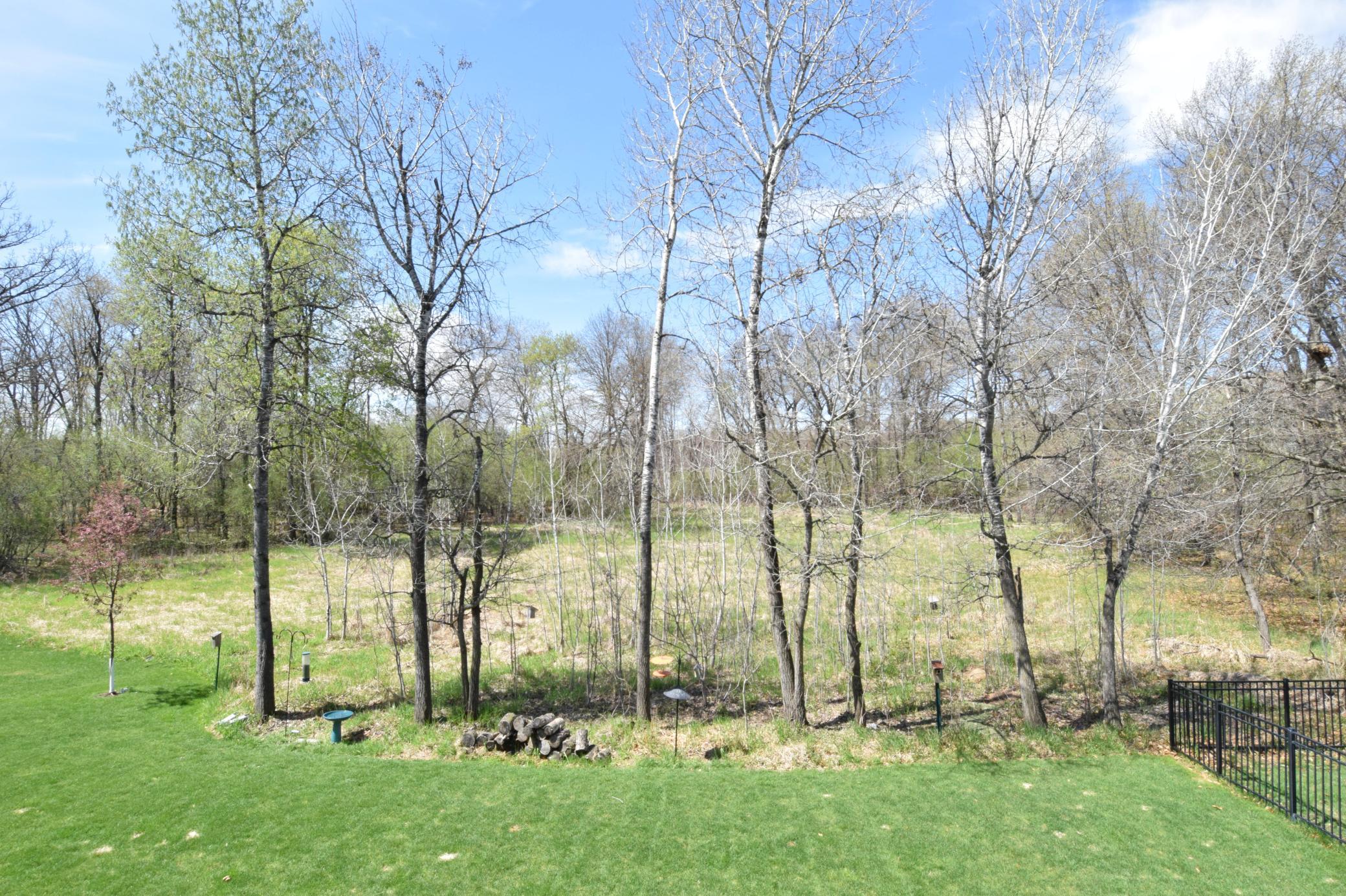 View of Residential at 13158 Coral Sea Court, Blaine MN 55449, Blaine (30 of 35) - Mike Wilen | Minnesota Team Real Estate