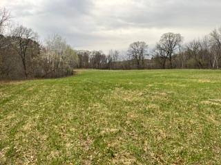 View of Land at 249XX Lever Street, Isanti MN 55040, Isanti - Mike Wilen | Minnesota Team Real Estate