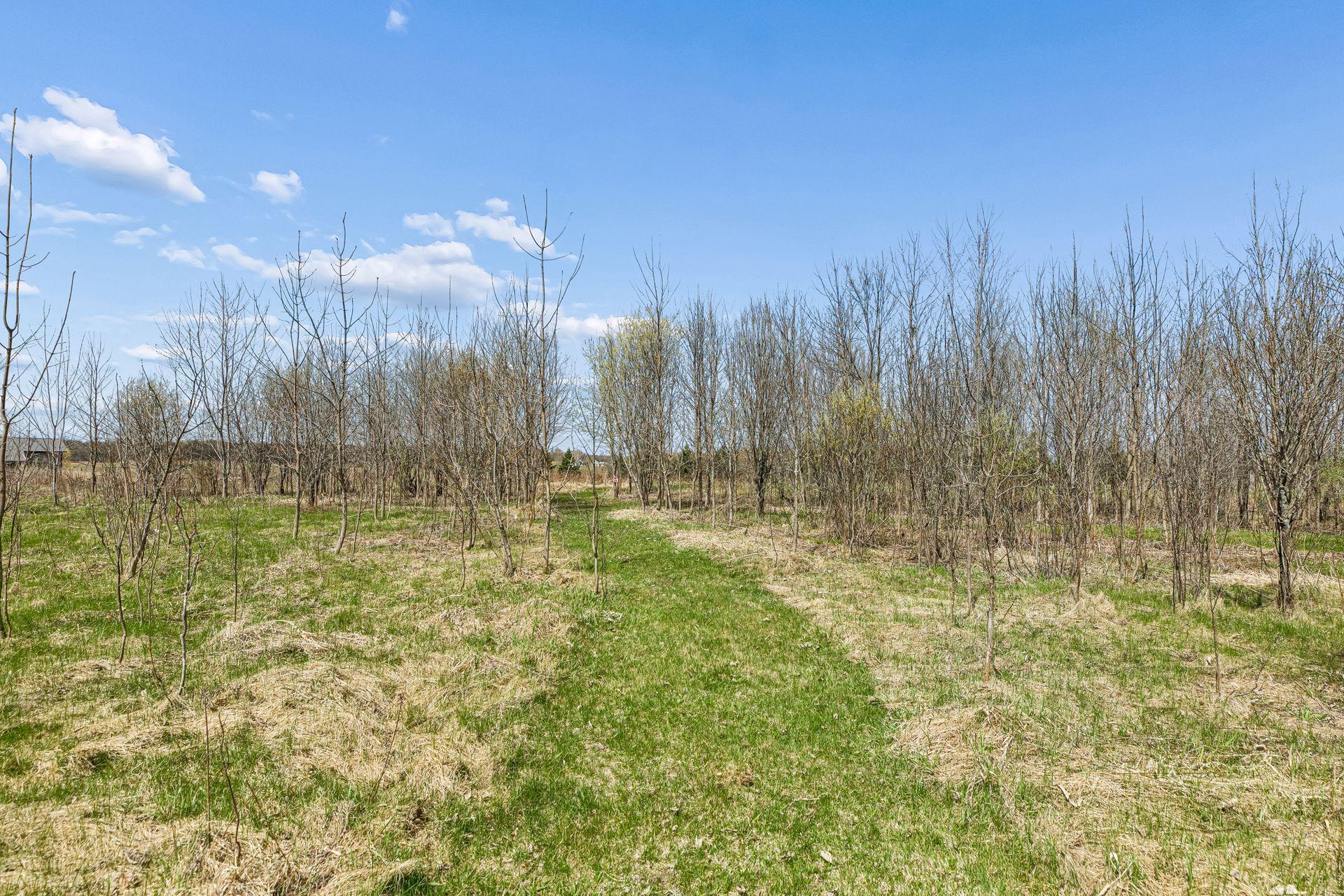 View of Residential at 13556 355th Street, Lindstrom MN 55045, Lindstrom (48 of 50) - Mike Wilen | Minnesota Team Real Estate