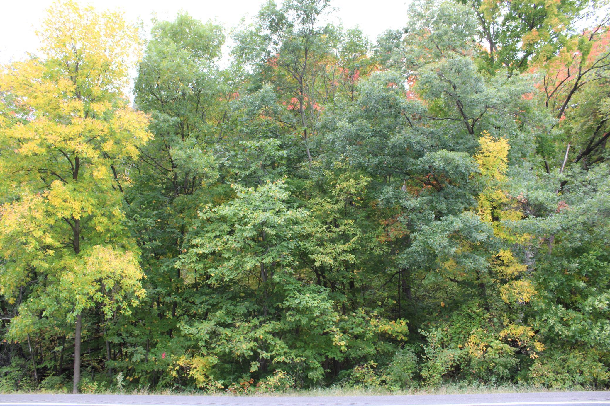 View of Land at 000 St Croix Trail, Taylors Falls MN 55084, Taylors Falls (8 of 12) - Mike Wilen | Minnesota Team Real Estate