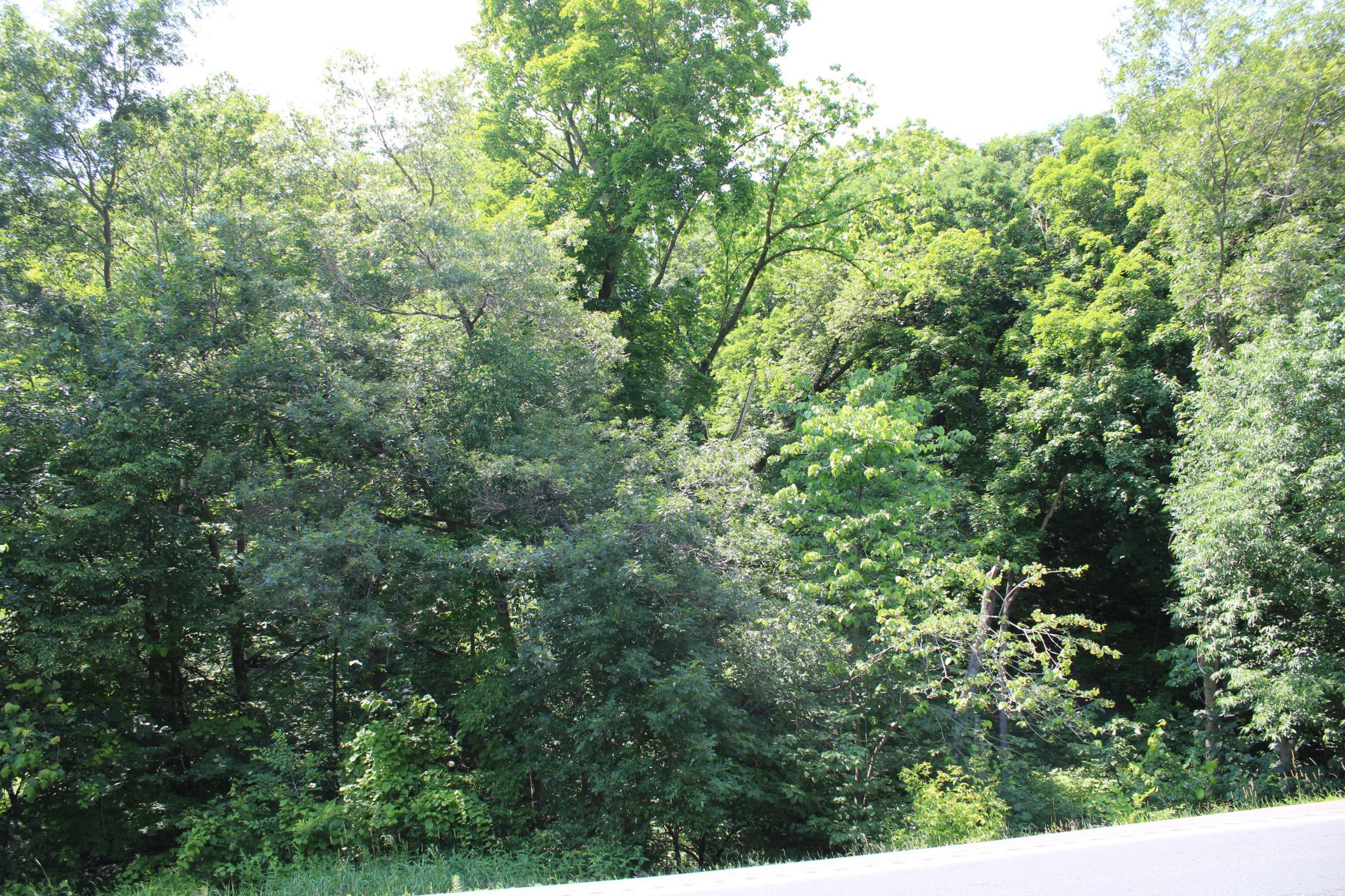 View of Residential Lot at 000 St Croix Trail, Taylors Falls - Mike Wilen | Minnesota Team Real Estate