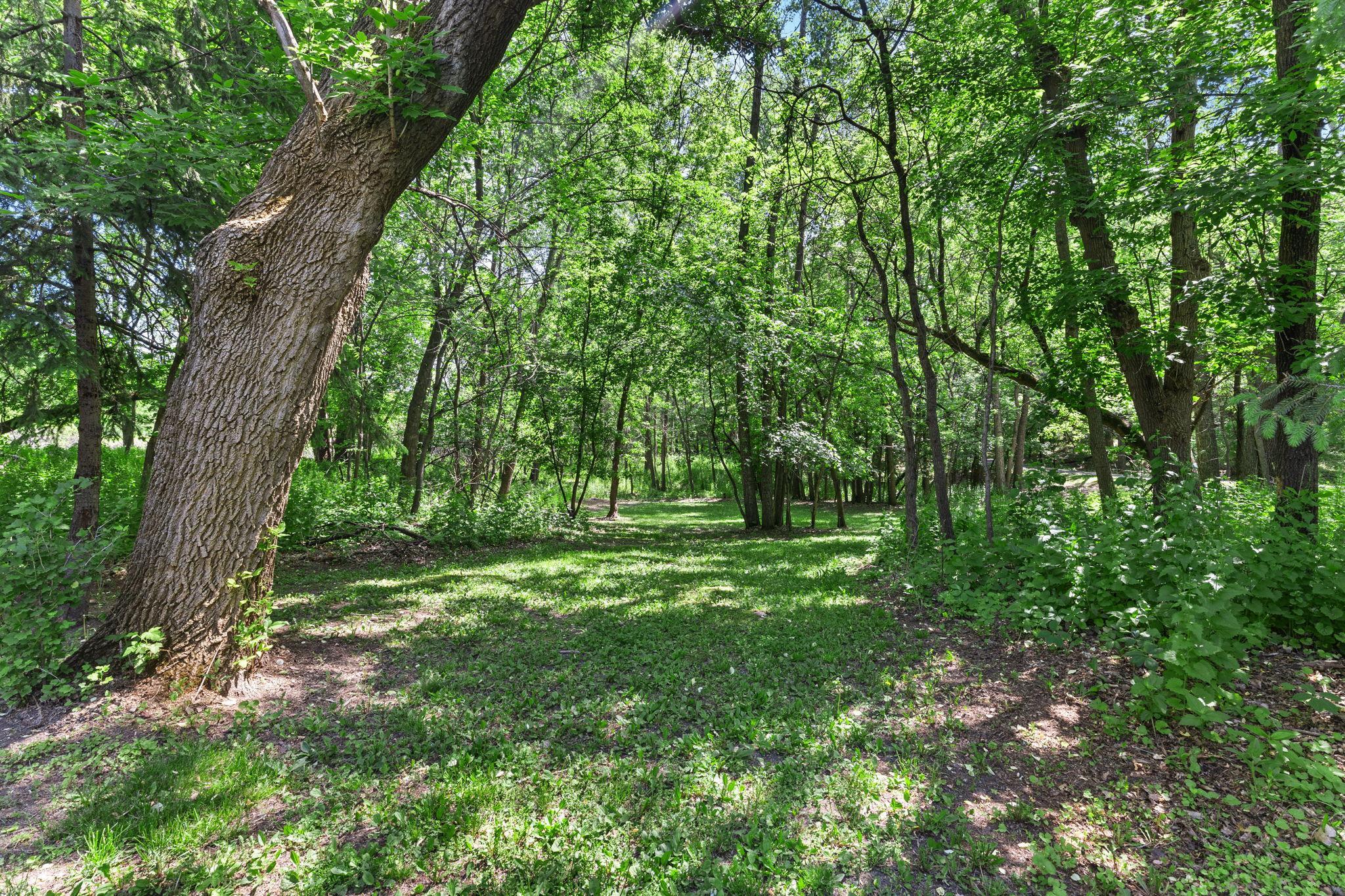 View of Residential at 19463 Proctor Road, Elk River MN 55330, Elk River (92 of 102) - Mike Wilen | Minnesota Team Real Estate