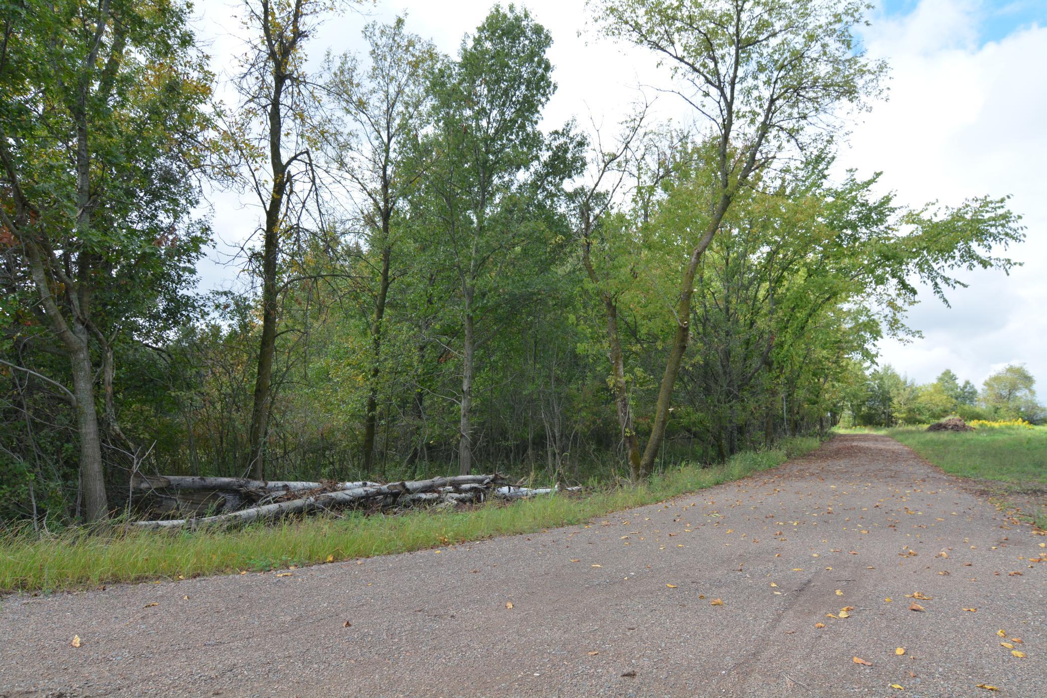 View of Land at TBD 130th Avenue, Milaca MN 56353, Milaca (3 of 14) - Mike Wilen | Minnesota Team Real Estate