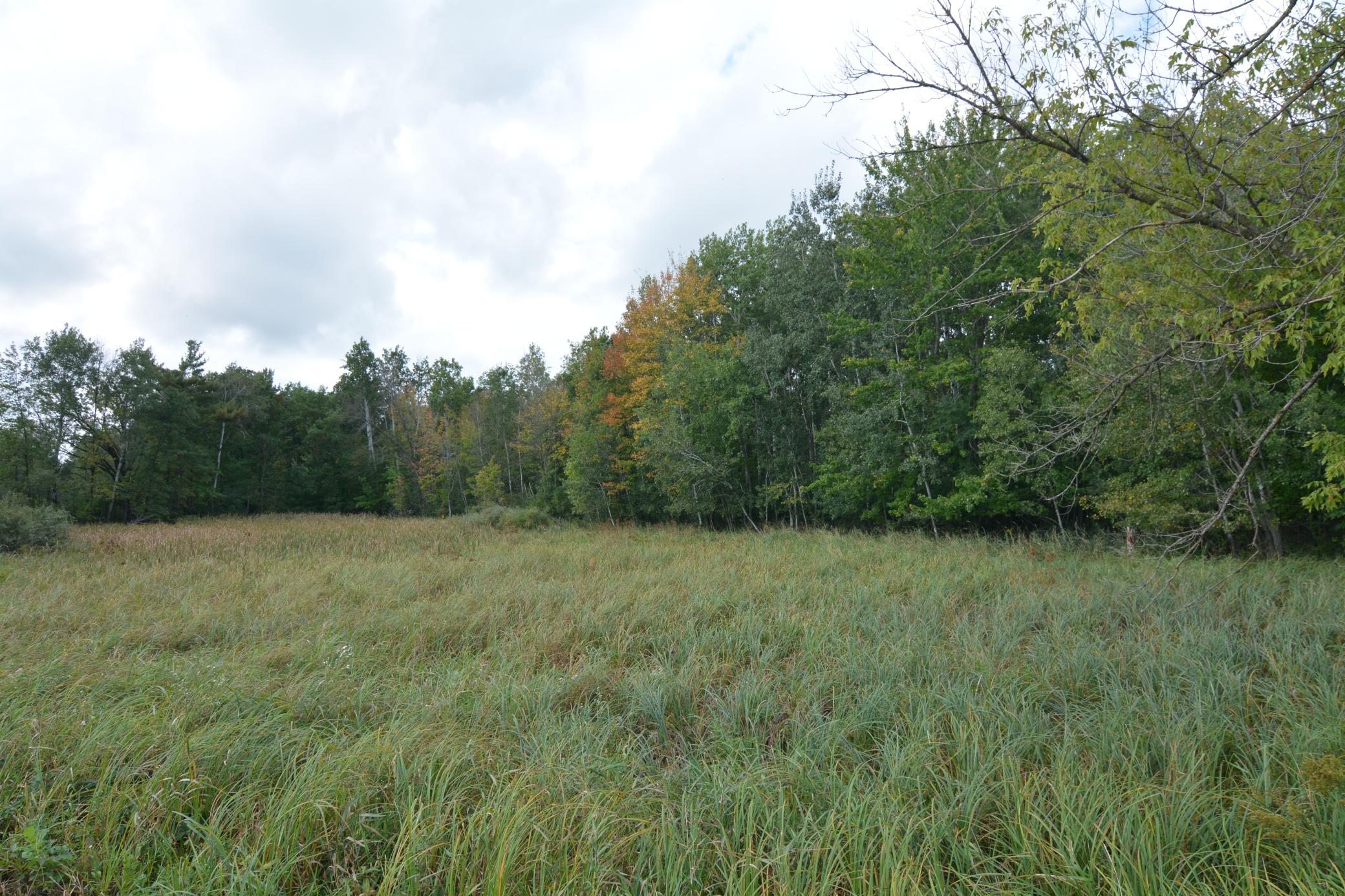 View of Land at TBD 130th Avenue, Milaca MN 56353, Milaca (4 of 14) - Mike Wilen | Minnesota Team Real Estate