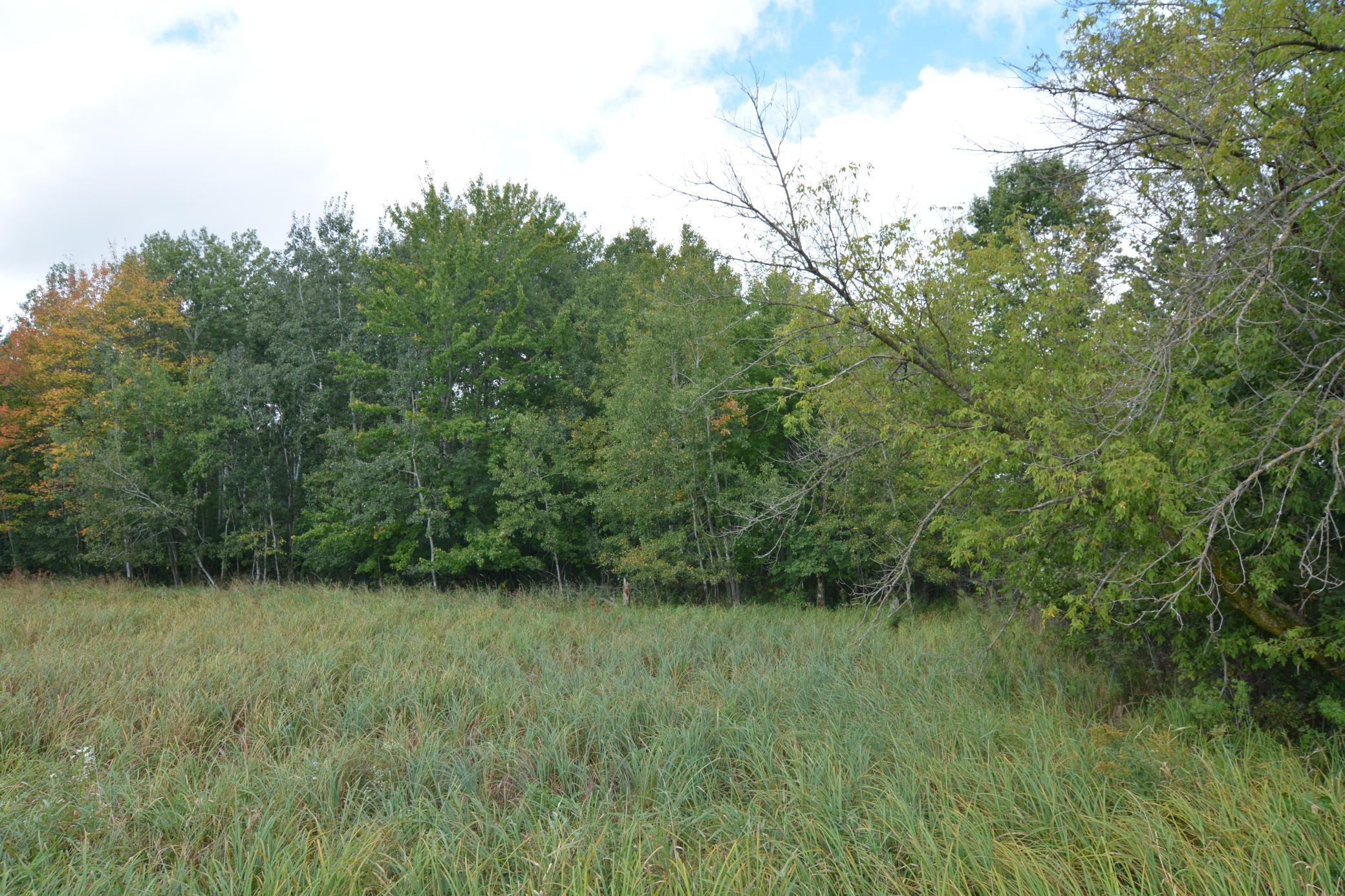 View of Land at TBD 130th Avenue, Milaca MN 56353, Milaca (5 of 14) - Mike Wilen | Minnesota Team Real Estate
