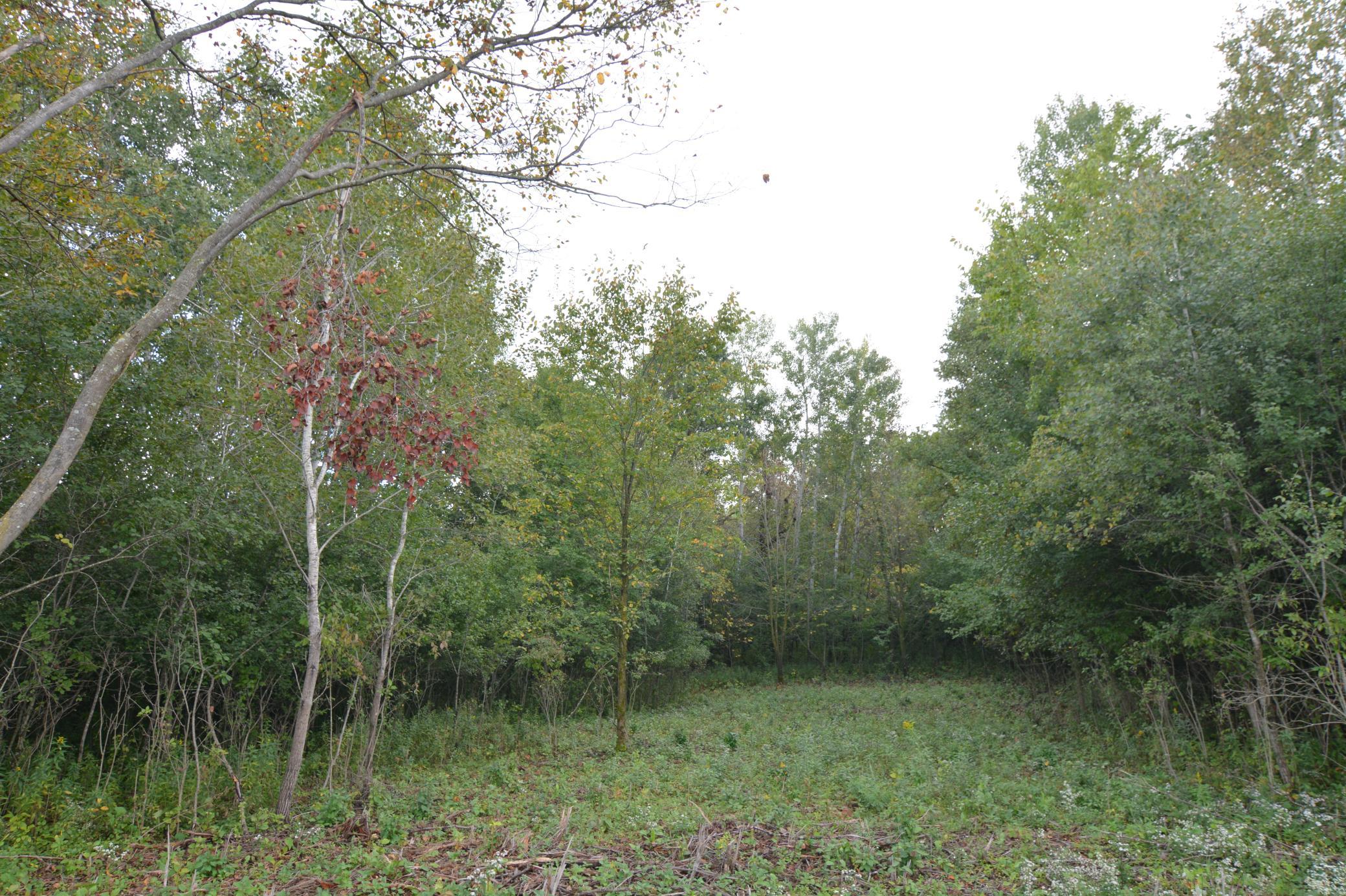 View of Land at TBD 130th Avenue, Milaca MN 56353, Milaca (7 of 14) - Mike Wilen | Minnesota Team Real Estate