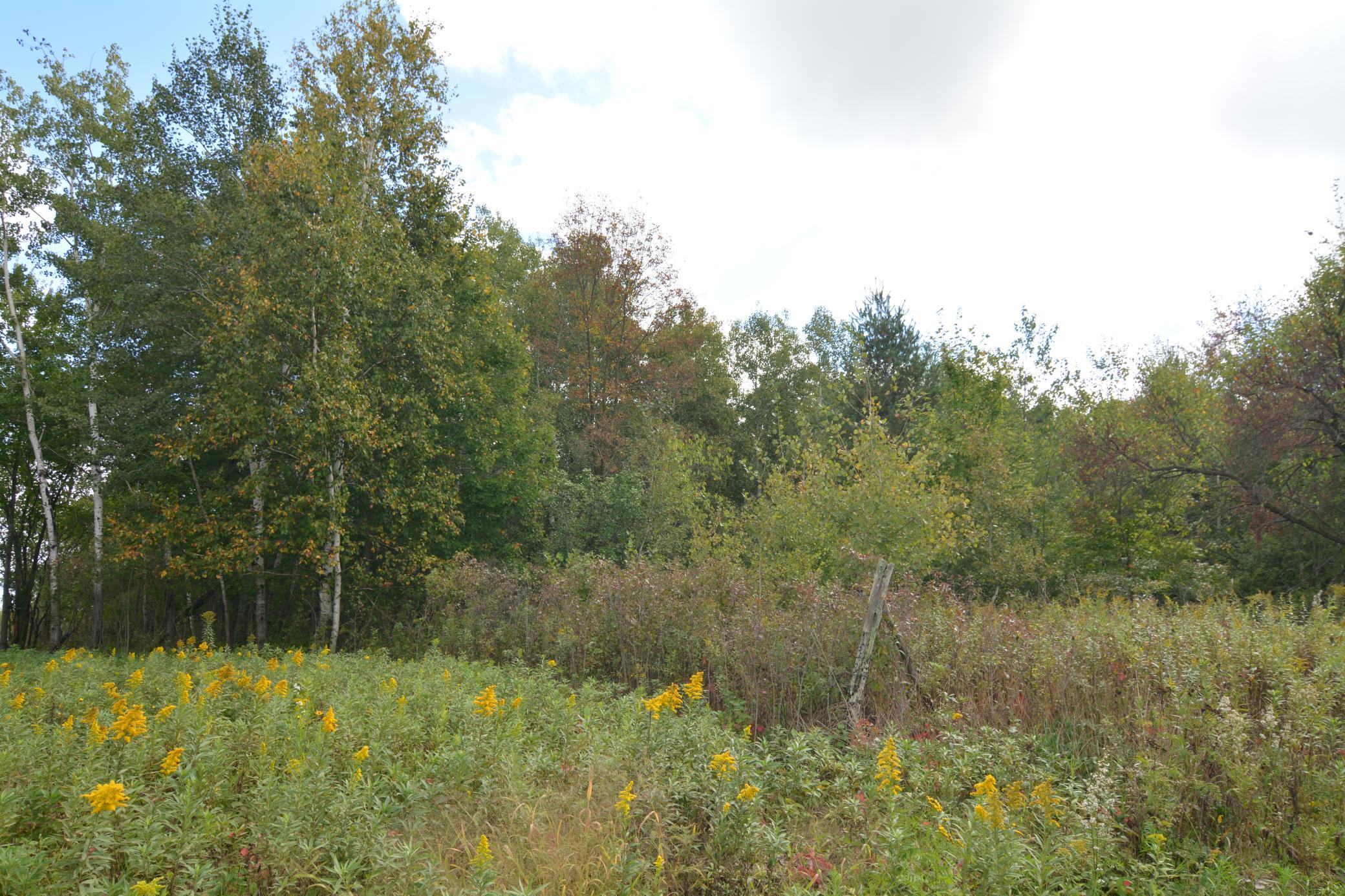View of Land at TBD 130th Avenue, Milaca MN 56353, Milaca (12 of 14) - Mike Wilen | Minnesota Team Real Estate
