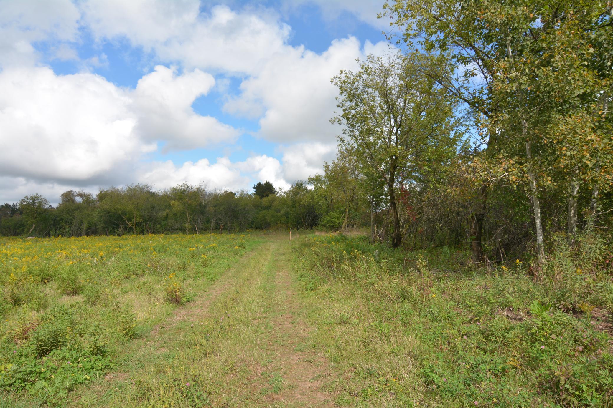 View of Land at TBD 130th Avenue, Milaca MN 56353, Milaca (13 of 14) - Mike Wilen | Minnesota Team Real Estate