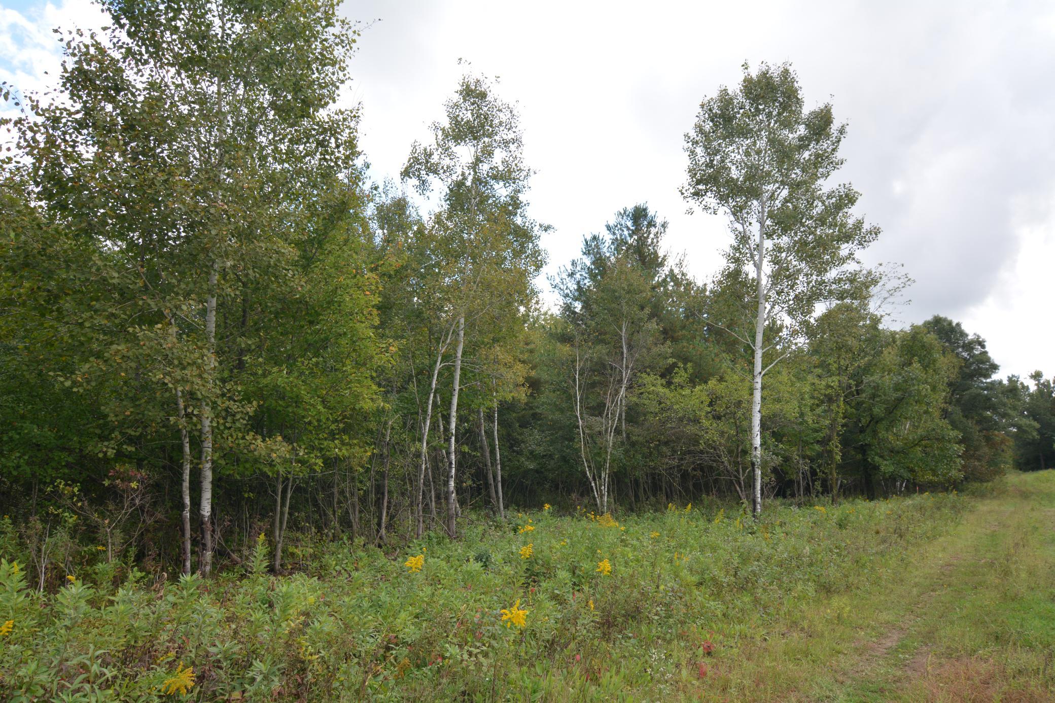 View of Land at TBD 130th Avenue, Milaca MN 56353, Milaca (14 of 14) - Mike Wilen | Minnesota Team Real Estate