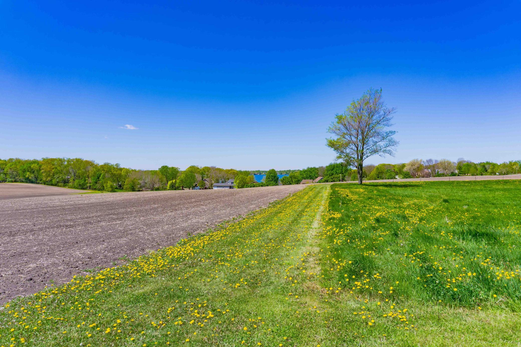 View of Residential at 24166 Langford Avenue, Jordan MN 55352, Jordan (57 of 105) - Mike Wilen | Minnesota Team Real Estate