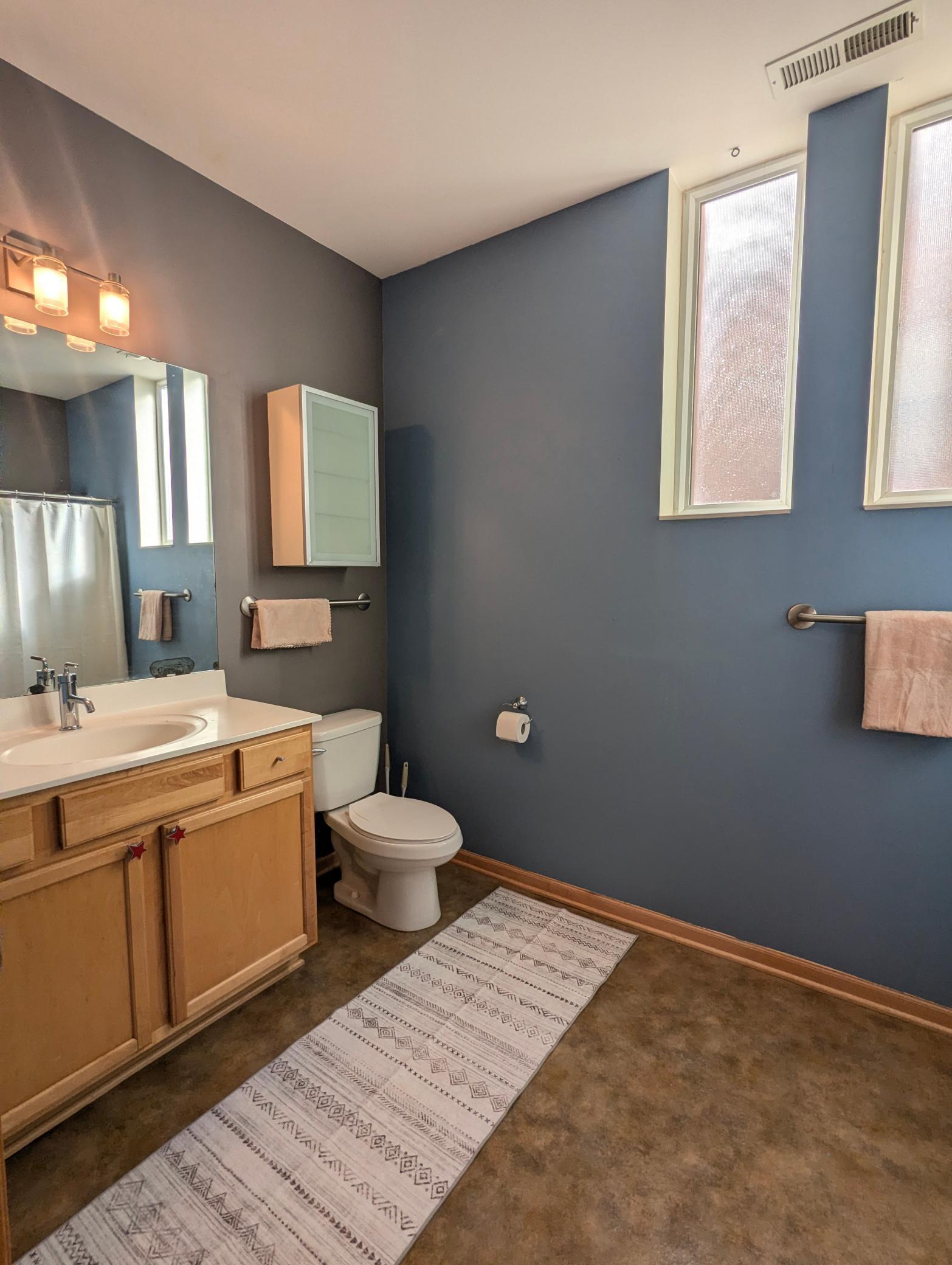 View of Residential at 2650 University Avenue #101, Saint Paul MN 55114, Saint Paul (49 of 67) - Mike Wilen | Minnesota Team Real Estate