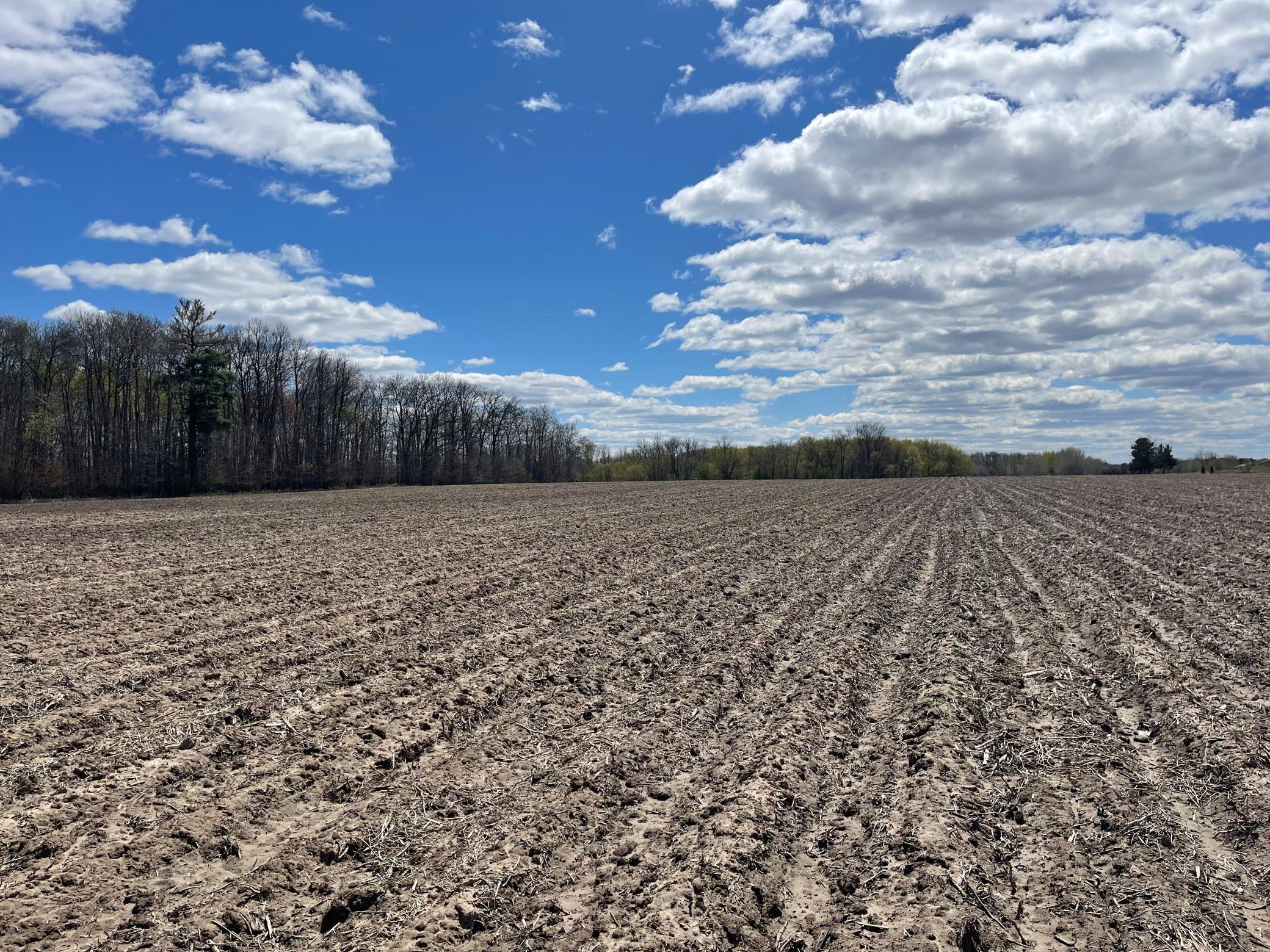View of Land at XXX 92nd Avenue, Princeton MN 55371, Princeton (6 of 8) - Mike Wilen | Minnesota Team Real Estate
