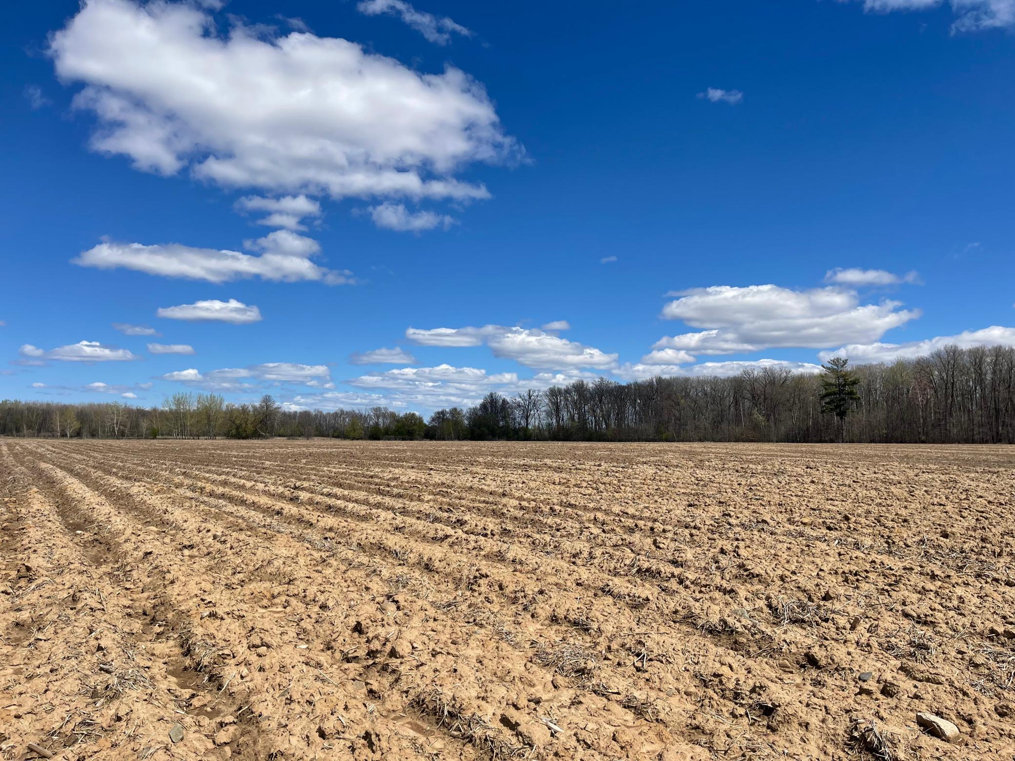 View of Land at XXX 92nd Avenue, Princeton MN 55371, Princeton (3 of 8) - Mike Wilen | Minnesota Team Real Estate
