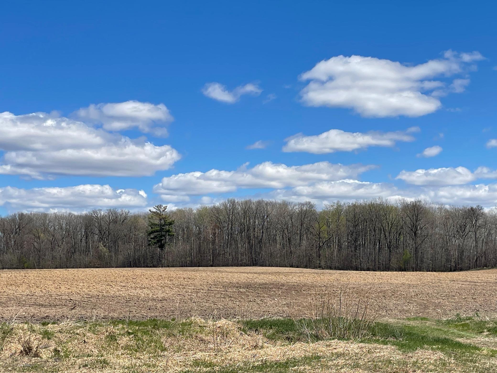 View of Land at XXX 92nd Avenue, Princeton MN 55371, Princeton - Mike Wilen | Minnesota Team Real Estate