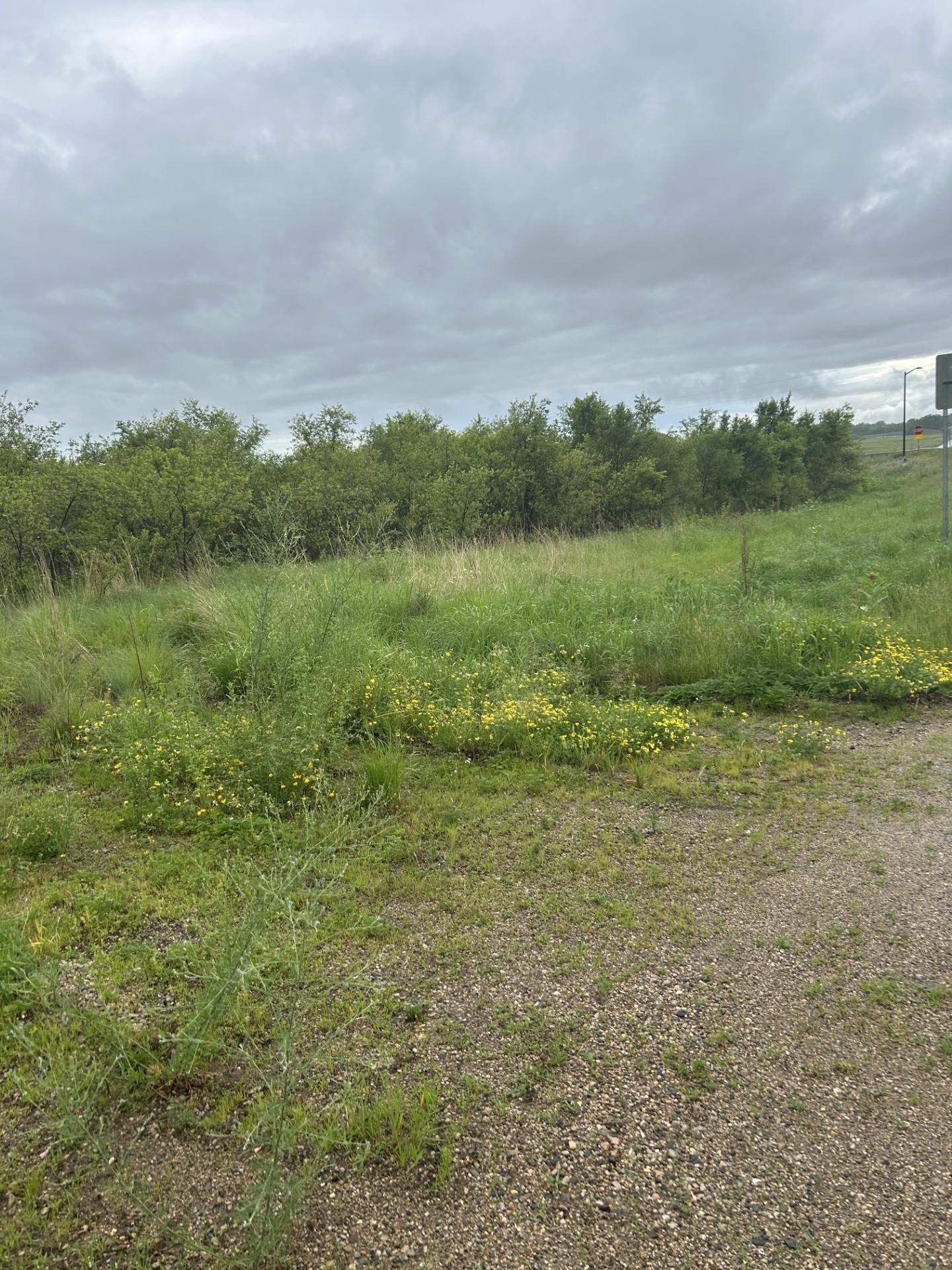 View of Land at XXXX 280th Street, Northfield MN 55057, Northfield (3 of 5) - Mike Wilen | Minnesota Team Real Estate