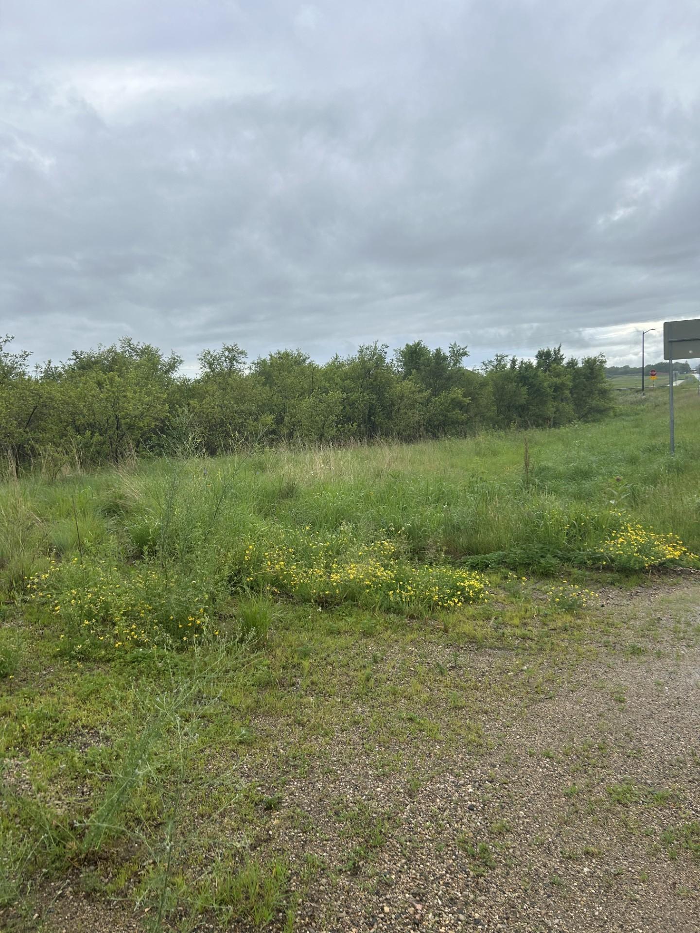 View of Land at XXXX 280th Street, Northfield MN 55057, Northfield (4 of 5) - Mike Wilen | Minnesota Team Real Estate