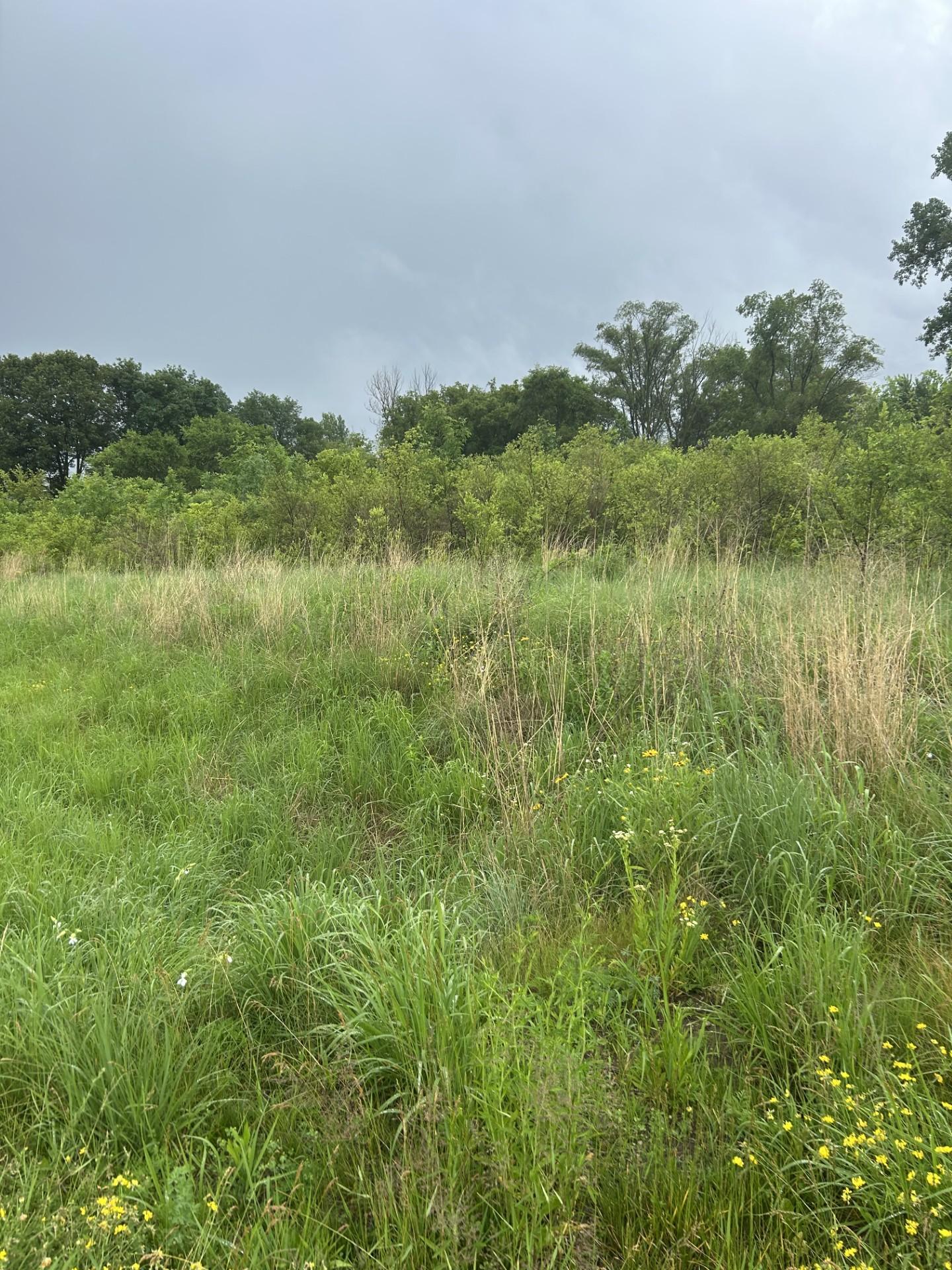 View of Land at XXXX 280th Street, Northfield MN 55057, Northfield (5 of 5) - Mike Wilen | Minnesota Team Real Estate