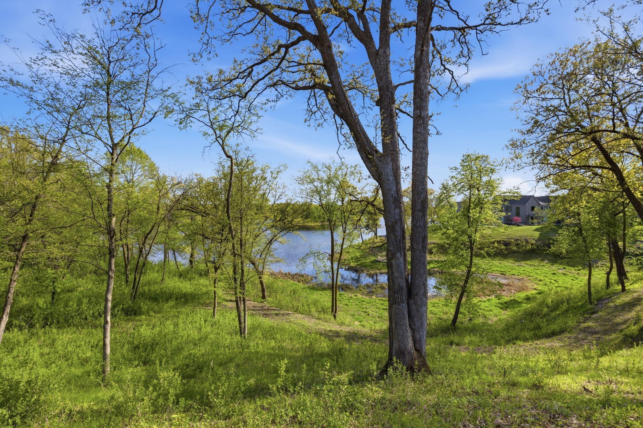View of Residential at 4725 Linden Cove Lane, Savage MN 55378, Savage (57 of 71) - Mike Wilen | Minnesota Team Real Estate